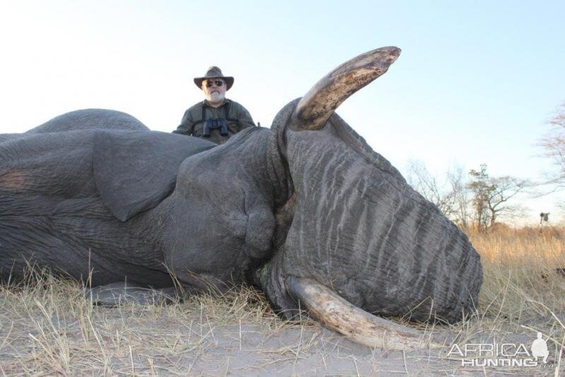 Elephant Namibia