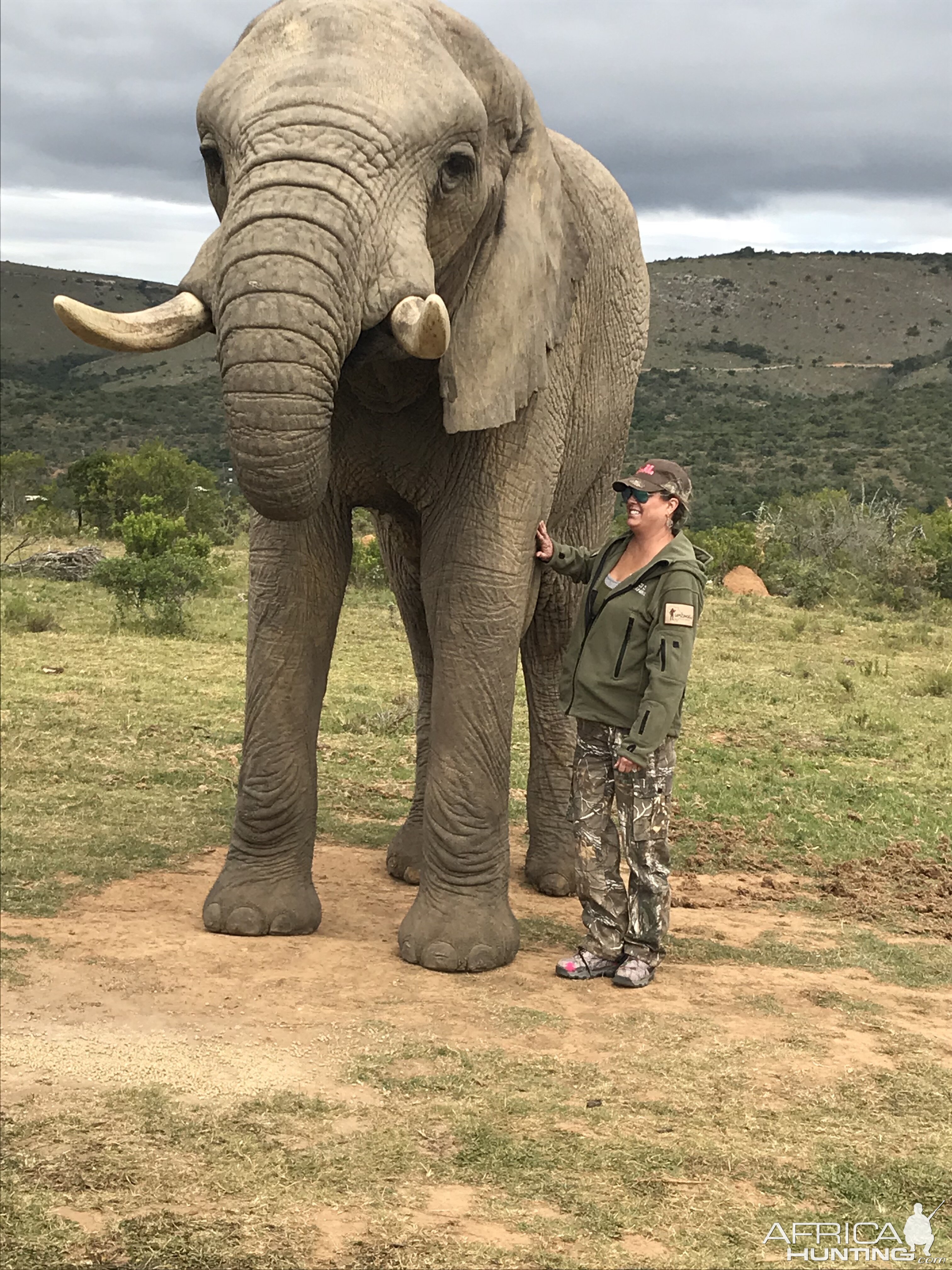 Elephant Ride Addo Elephant Park South Africa