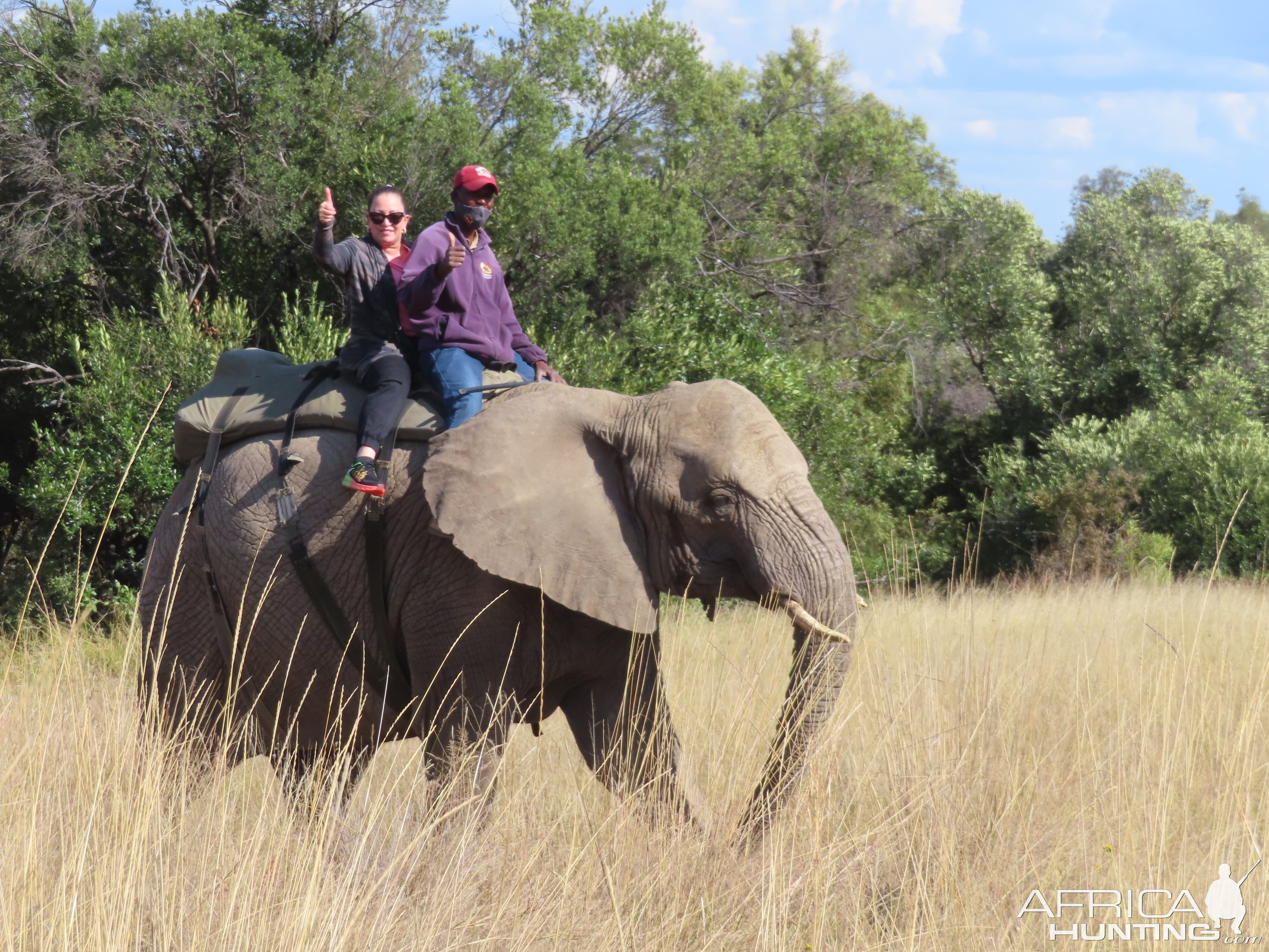 Elephant Rides Limpopo South Africa