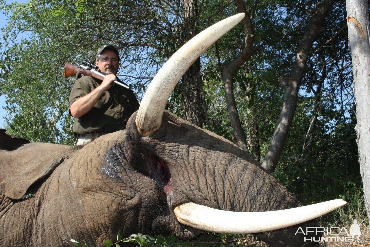 Elephant South Africa Hunting