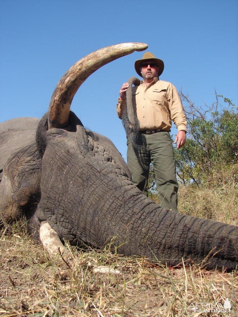 Elephant South Africa Hunting