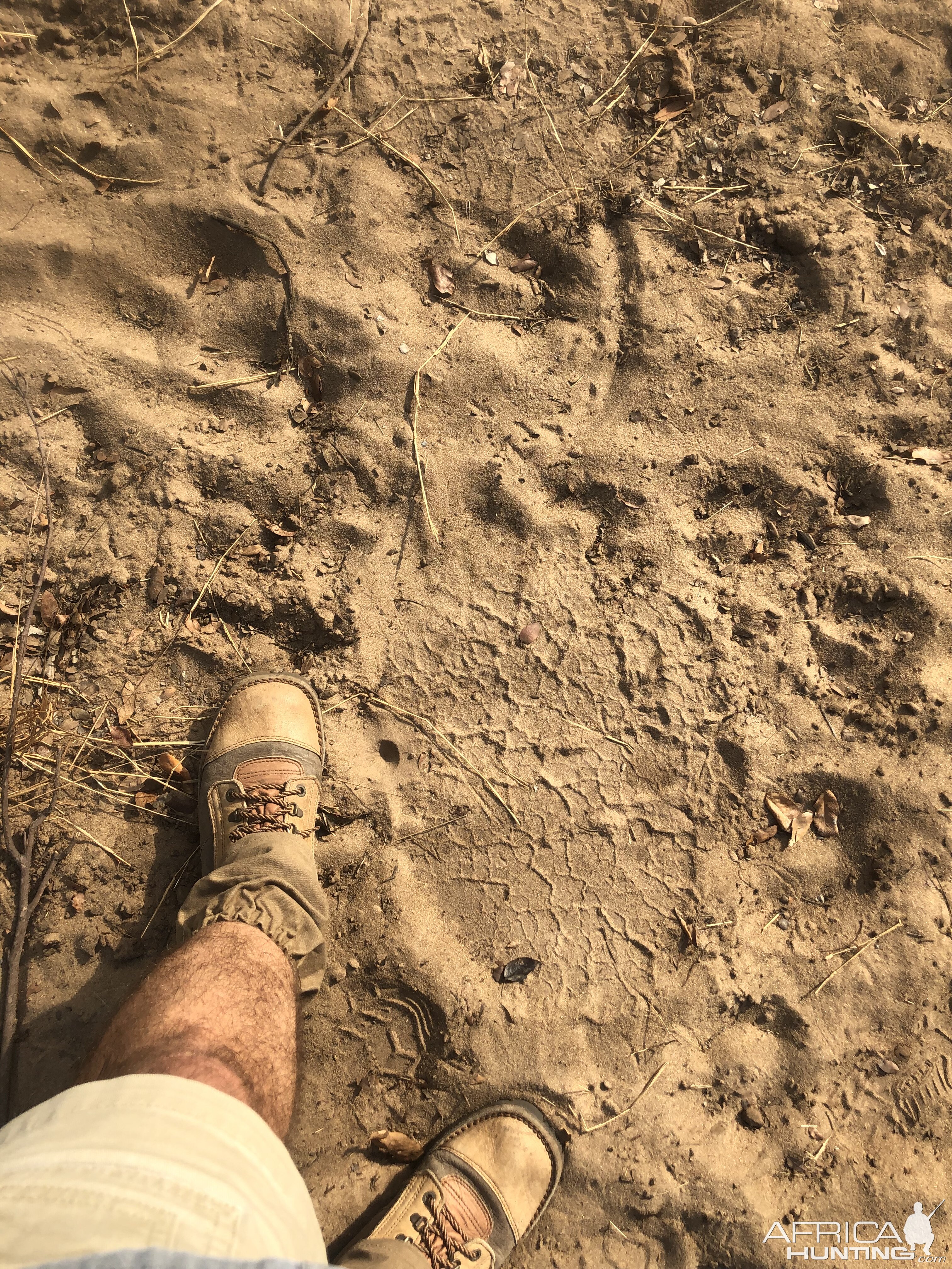 Elephant Track in Zimbabwe