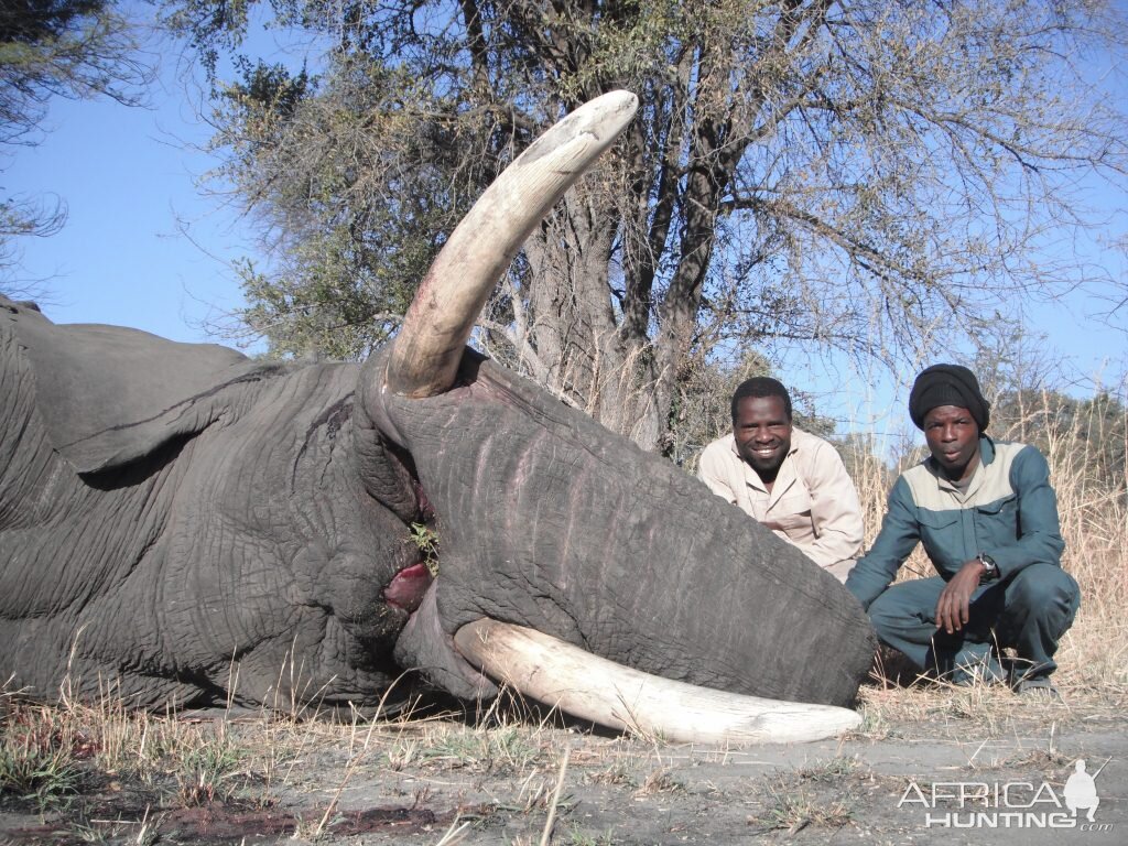 Elephant Trackers Caprivi