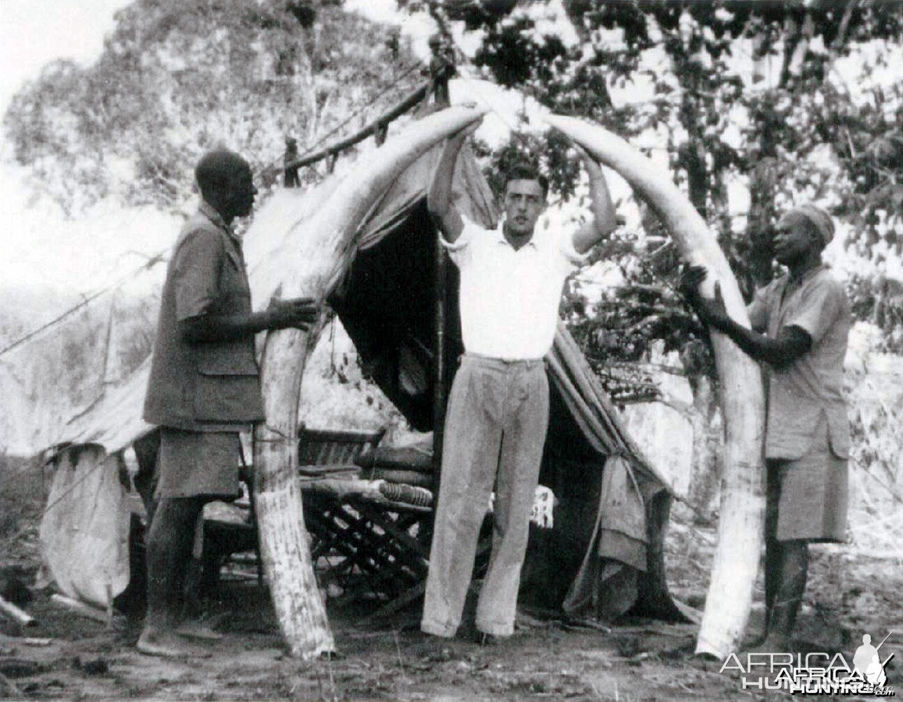 Elephant Tusks with Brian Nicholson (1931 - 2010)