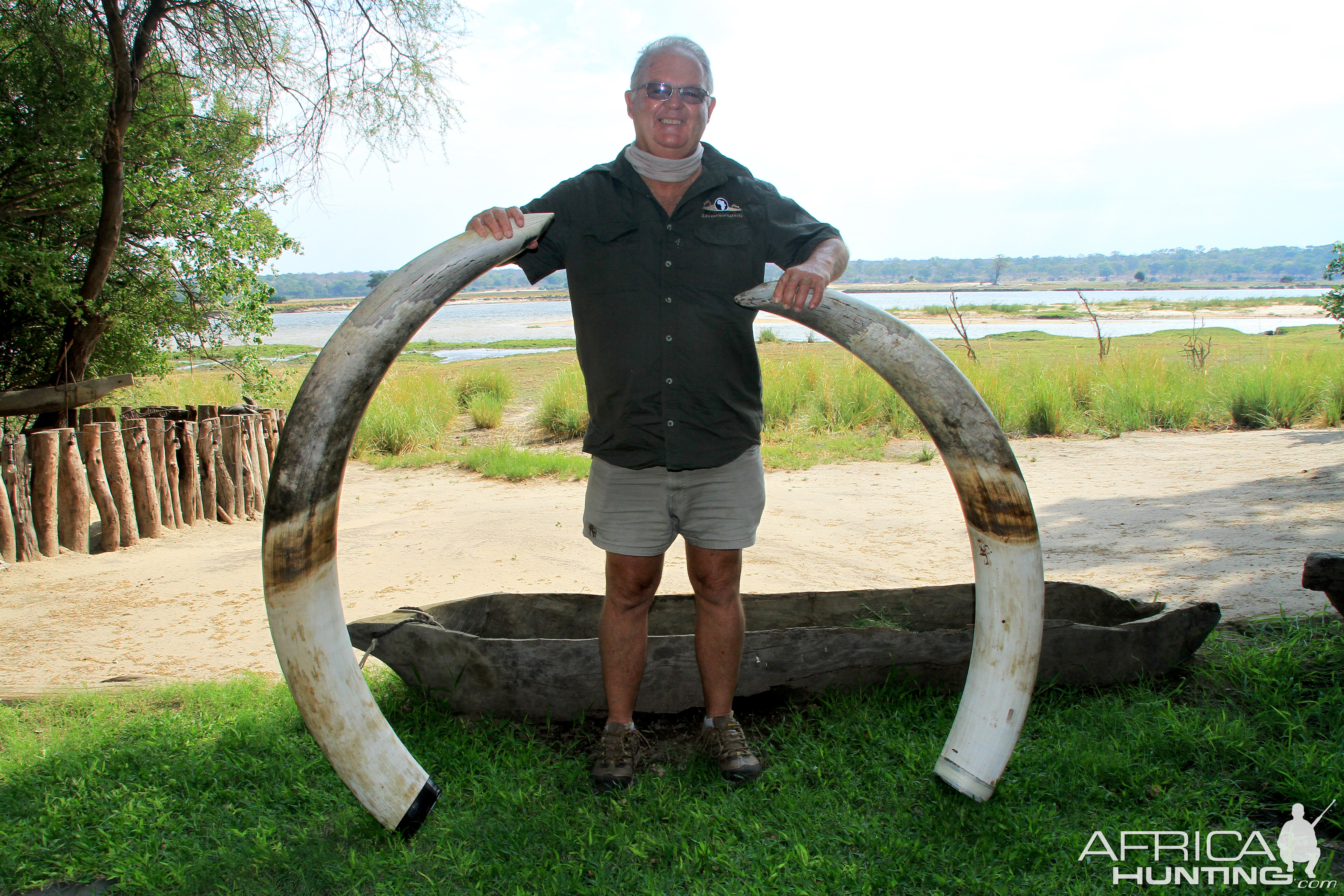 Elephant Tusks