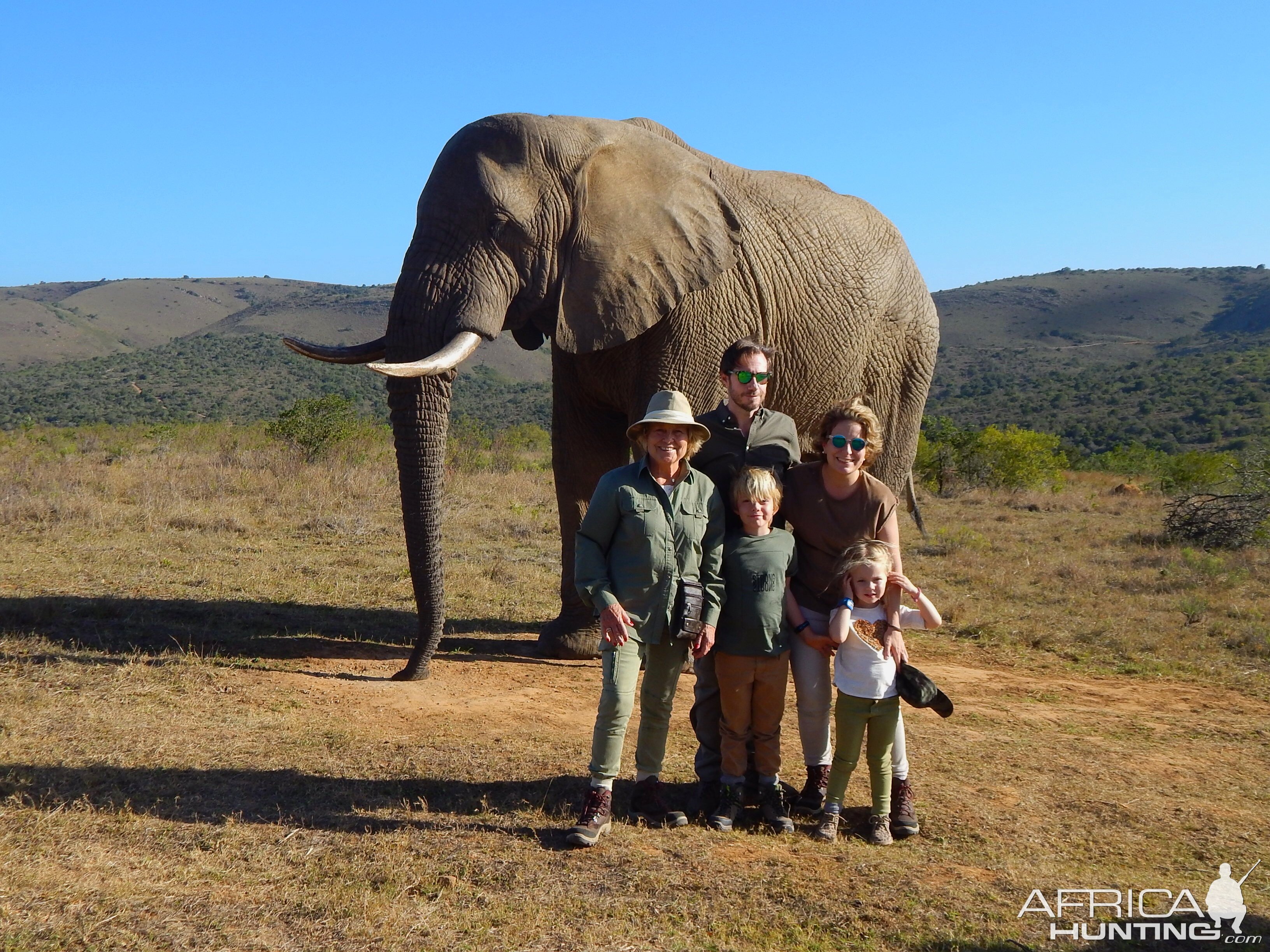 Elephant Visit