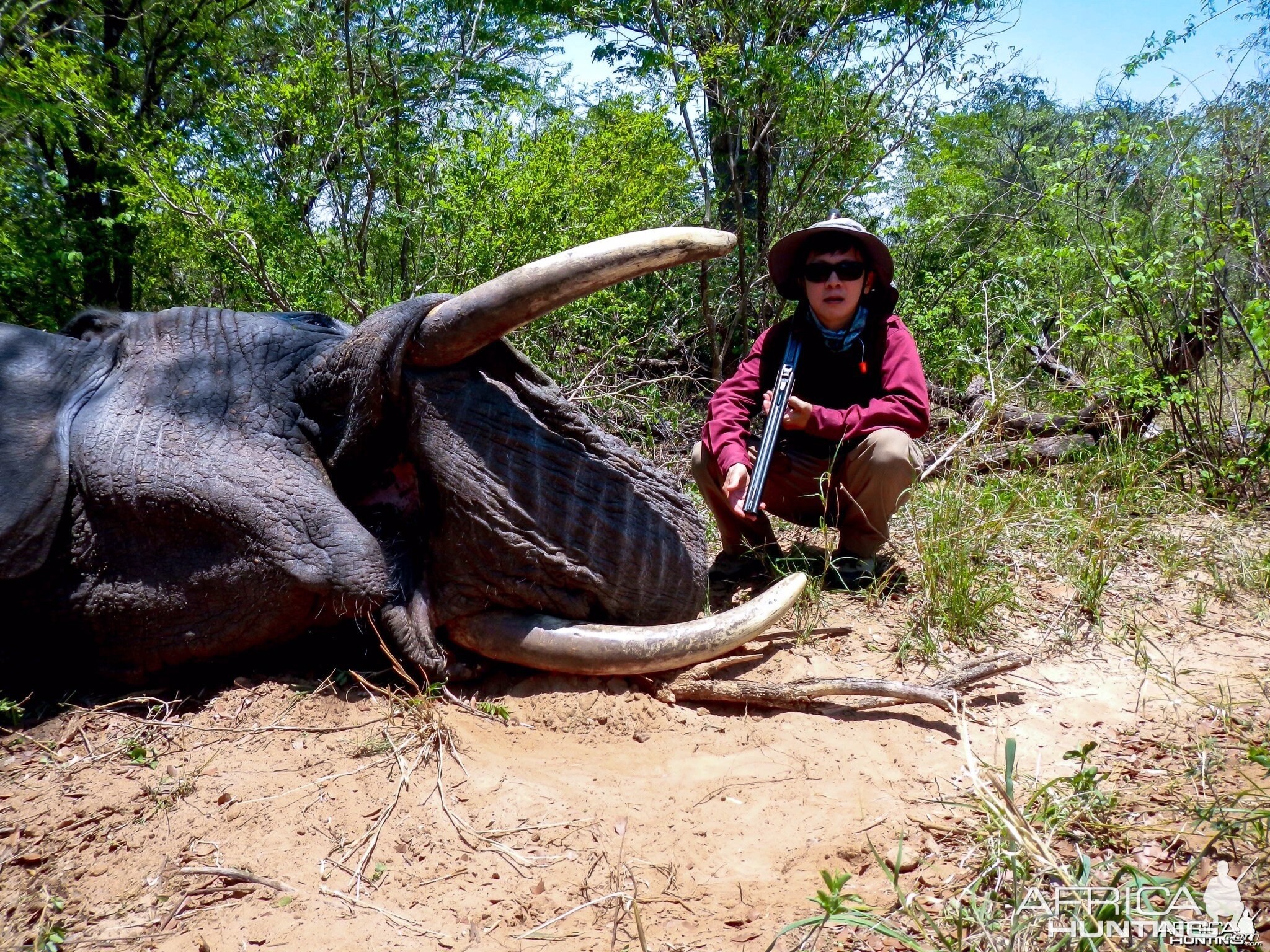 Elephant Zimbabwe, November 2014