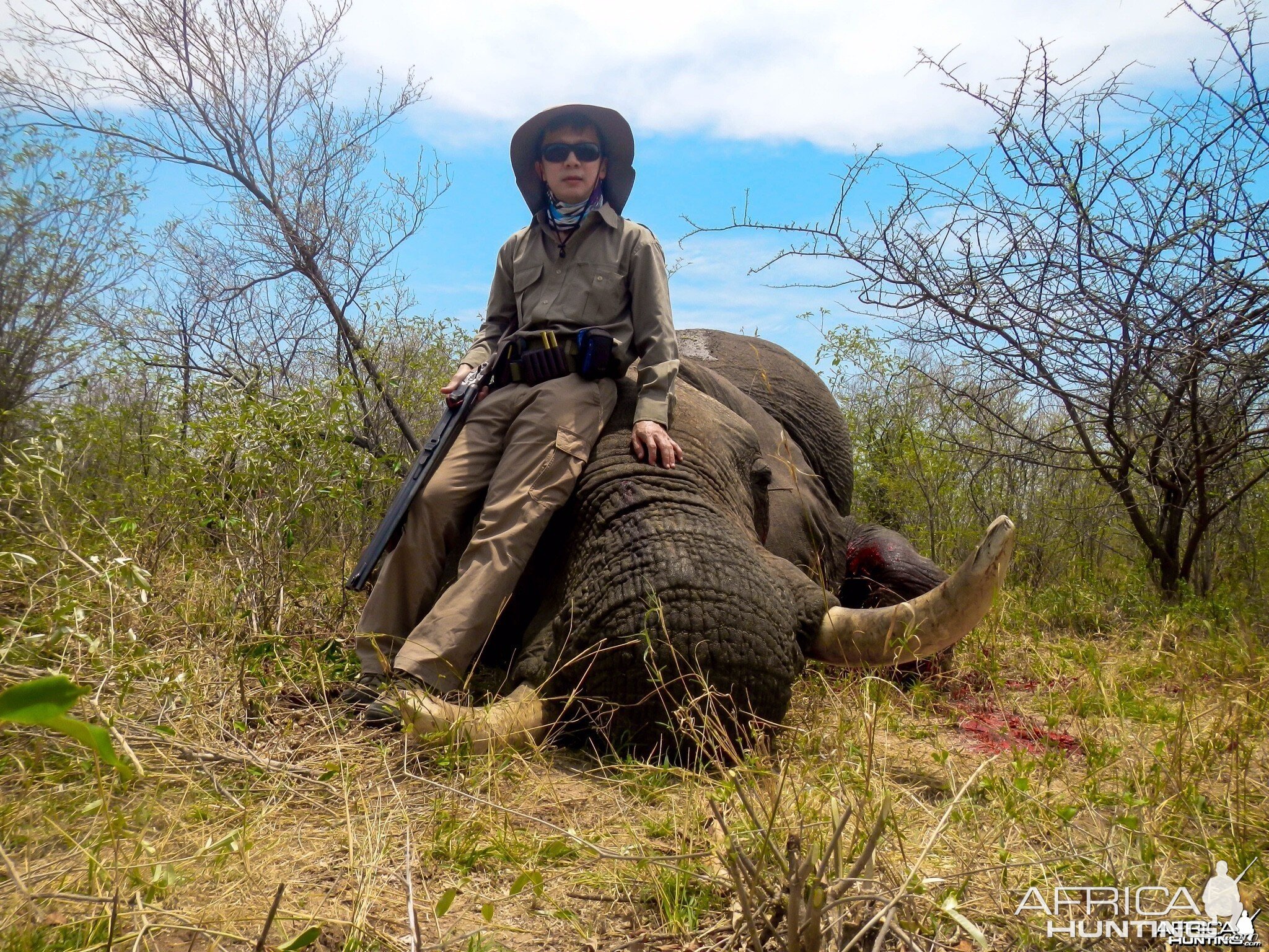 Elephant Zimbabwe, November 2014