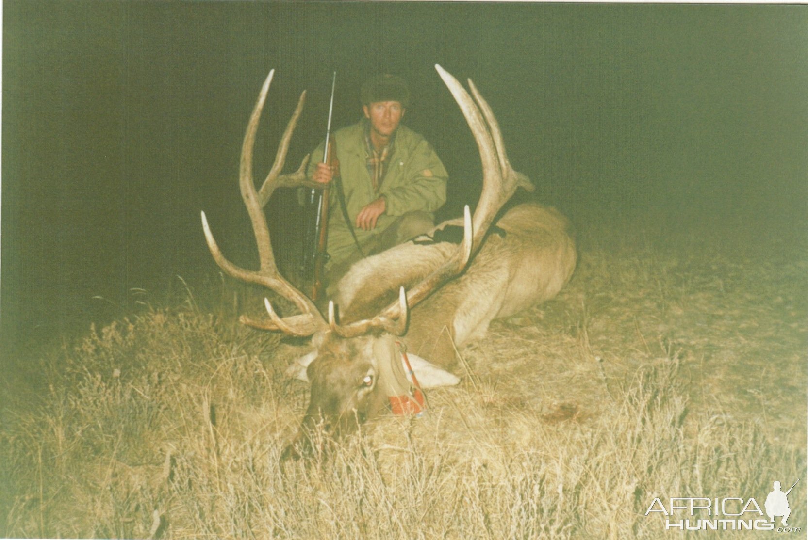 Elk 1992, North of Mongolia