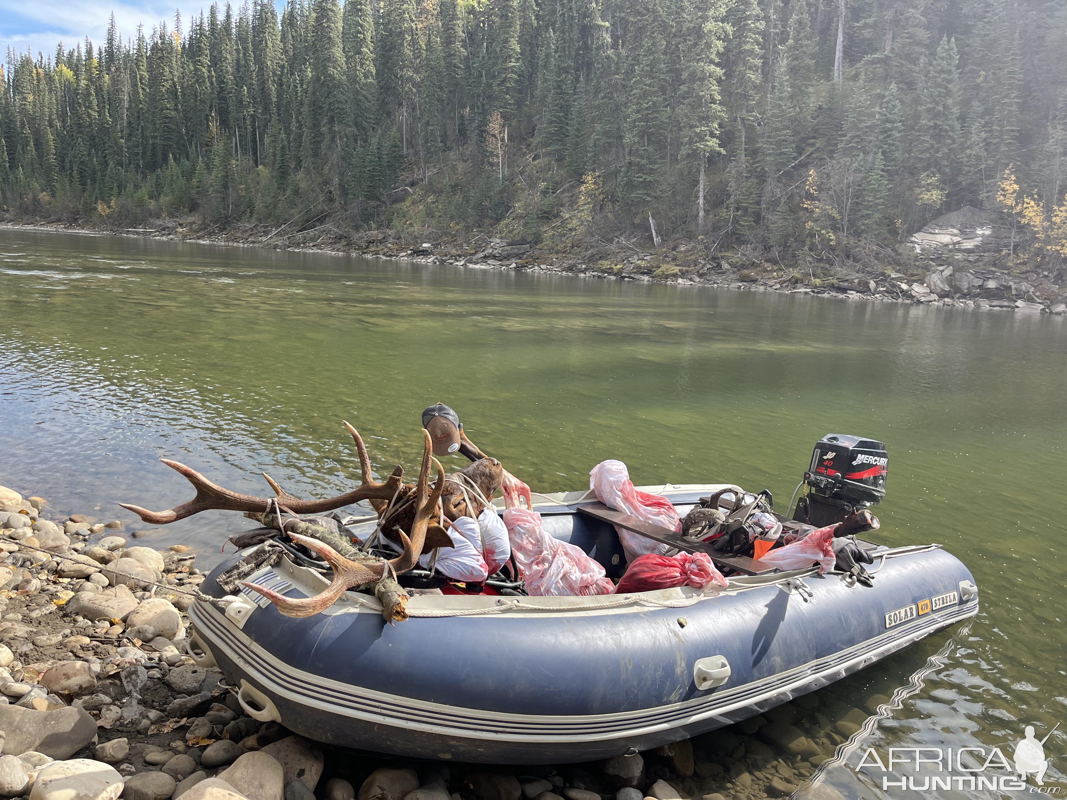 Elk Hunt 2023, Alberta