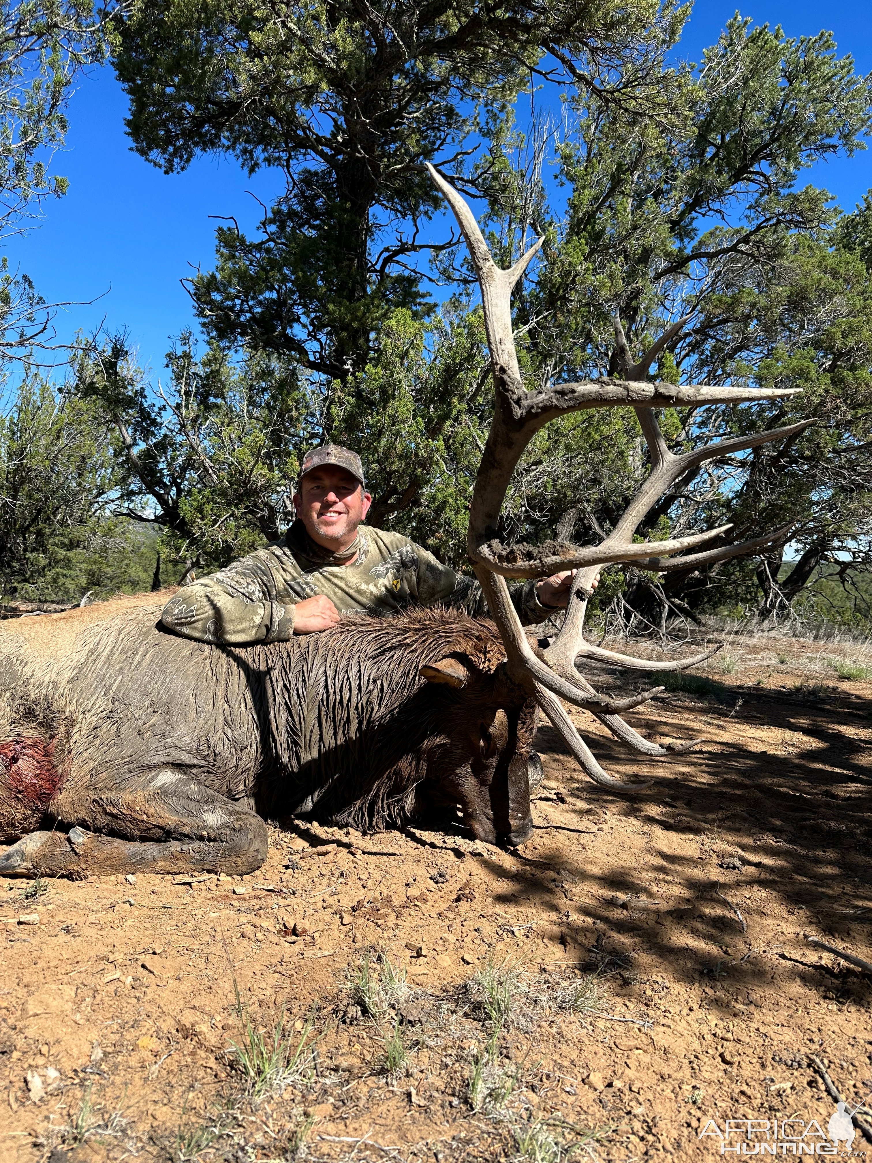 Elk Hunt Acoma Pueblo New Mexico