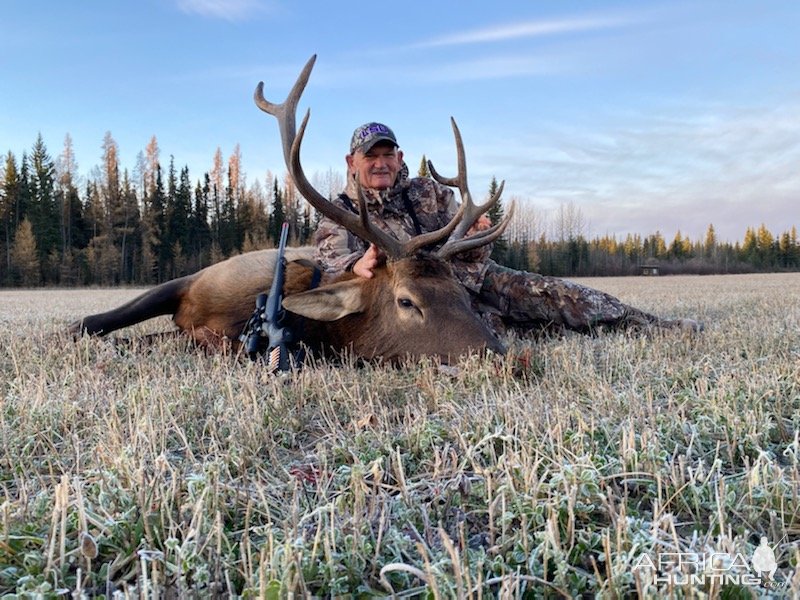 Elk Hunt Canada