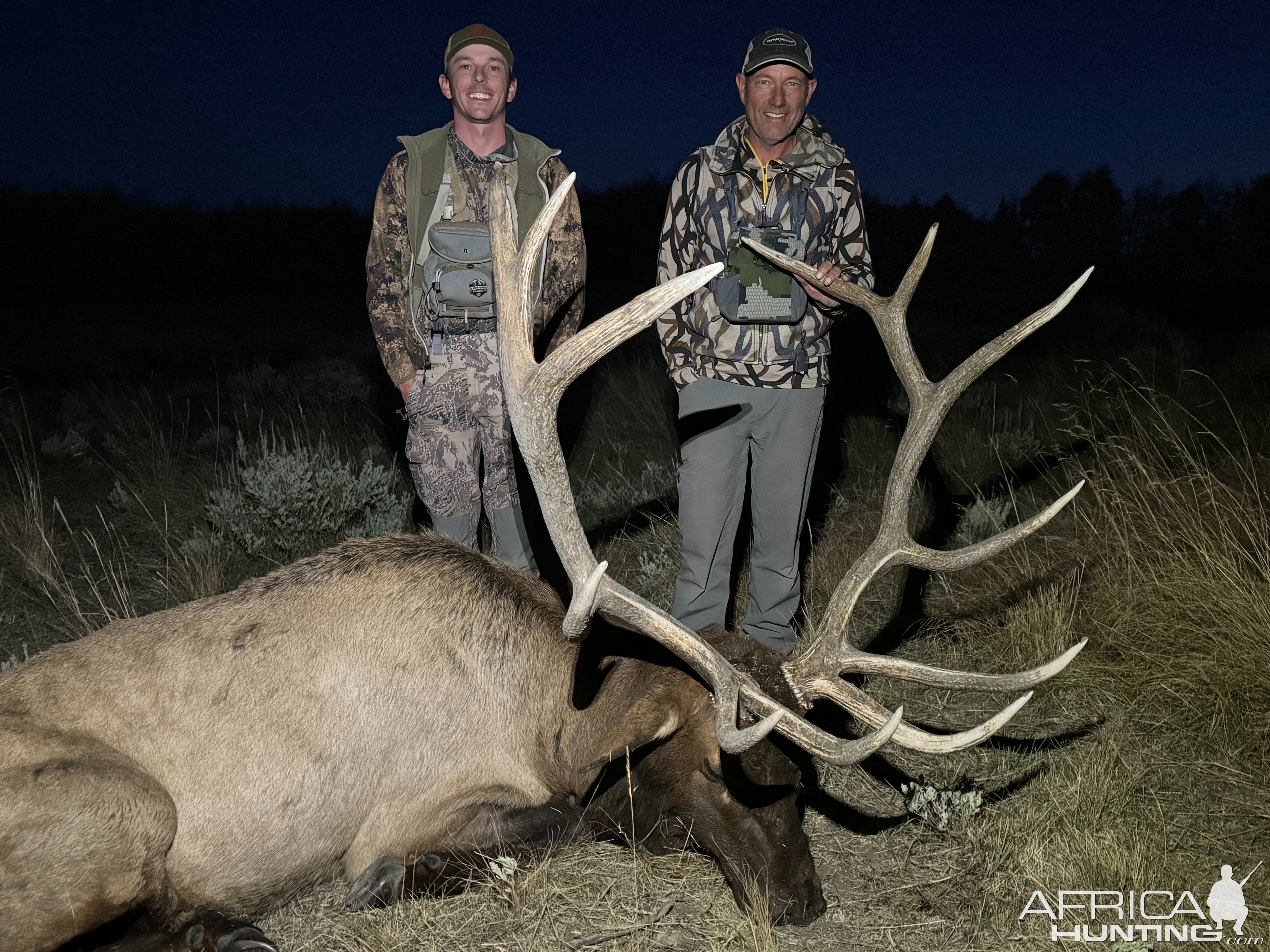 Elk Hunt Colorado