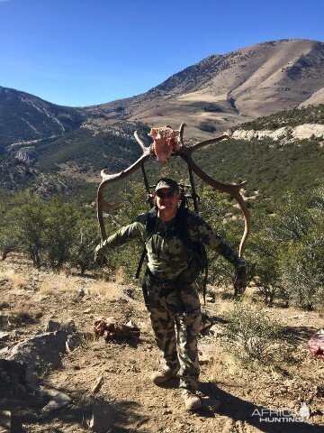 Elk Hunt Nevada