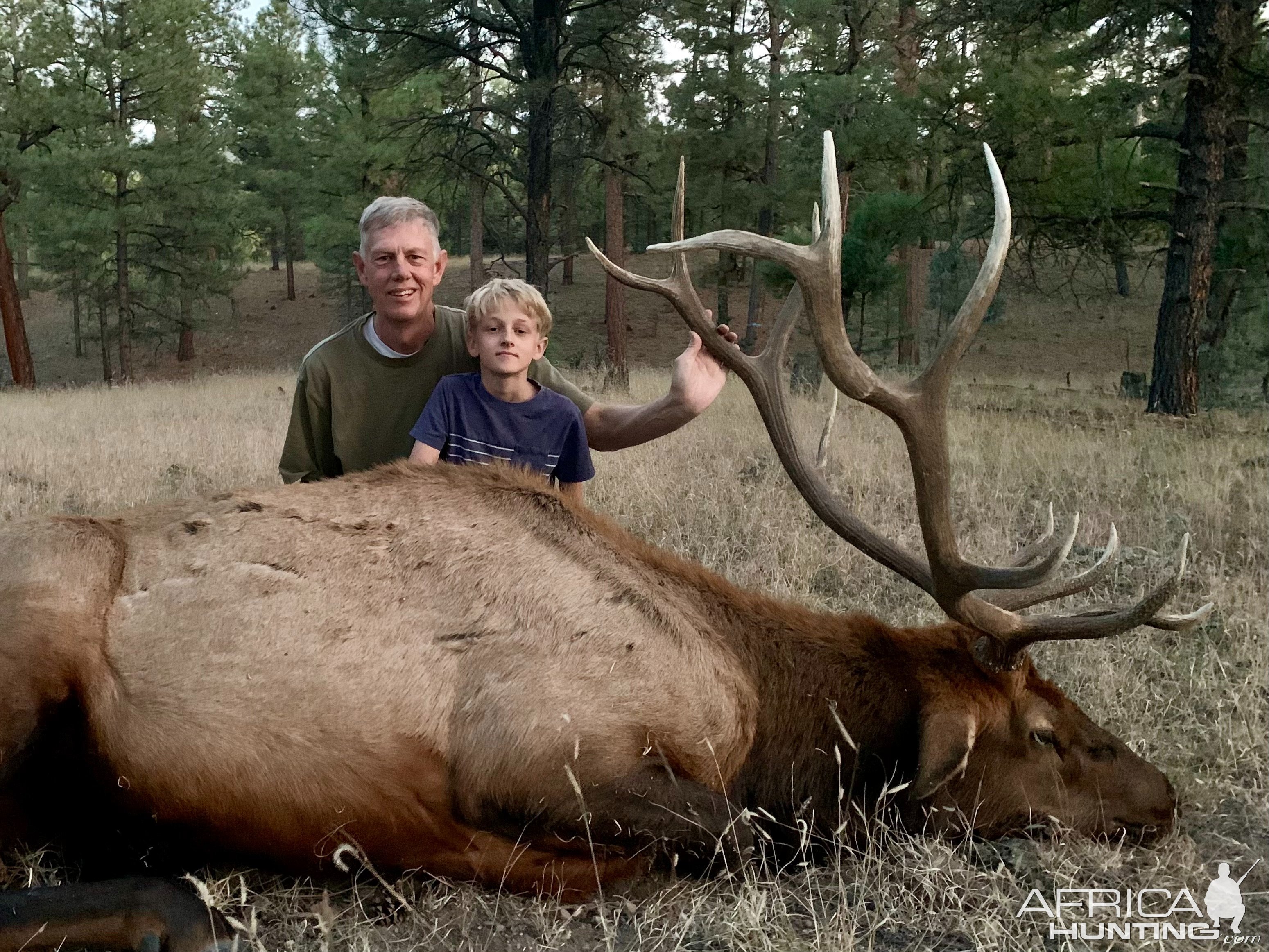 Elk Hunt New Mexico