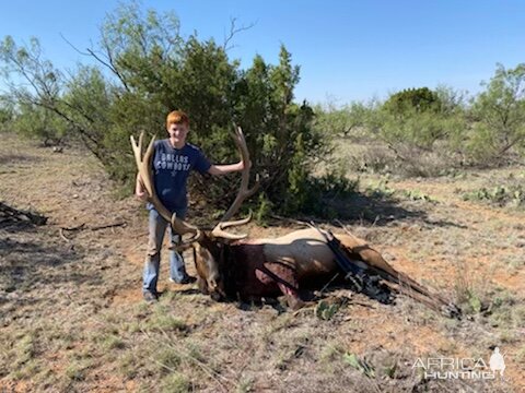 Elk Hunt Texas USA