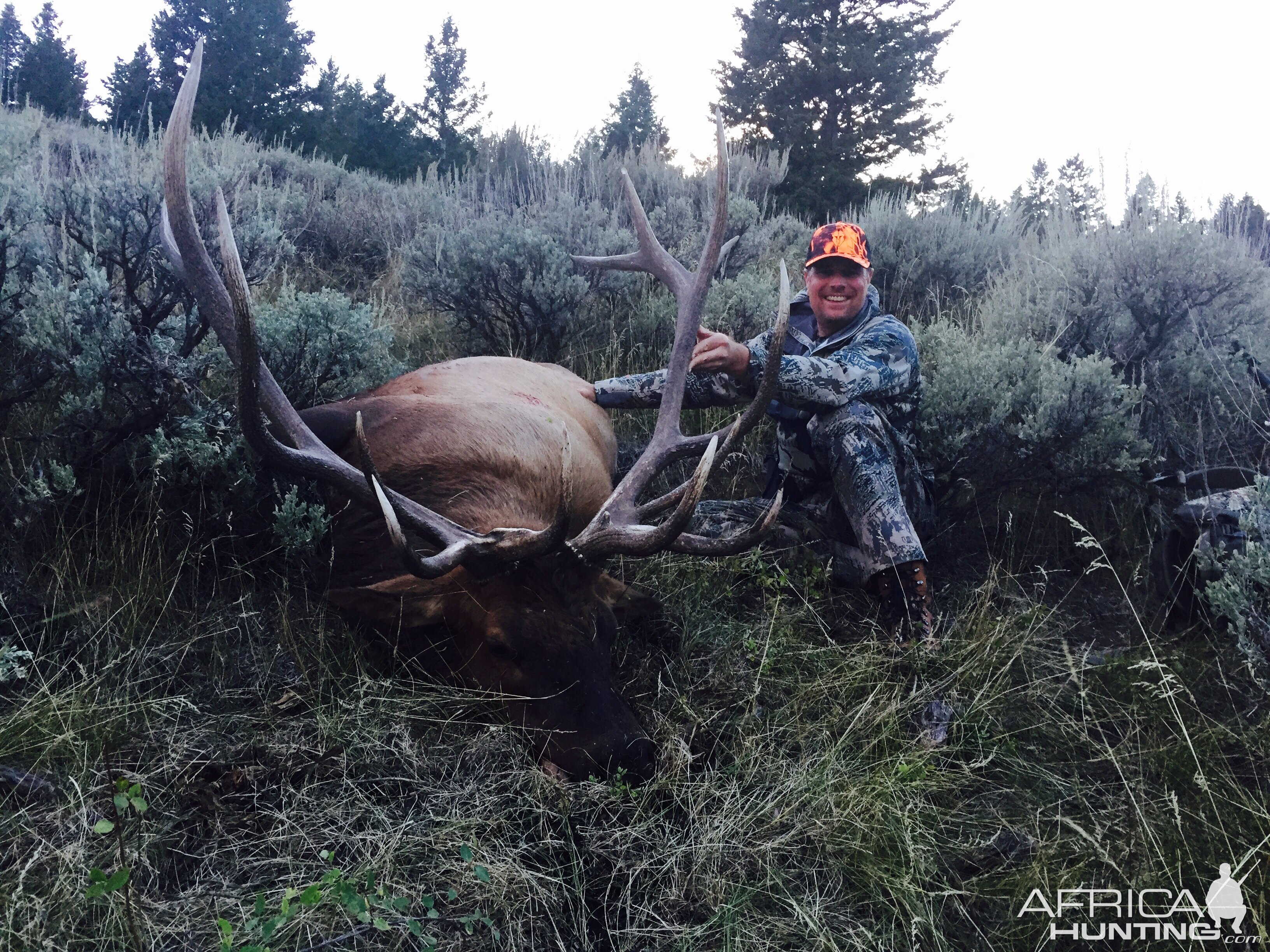 Elk Hunt Utah