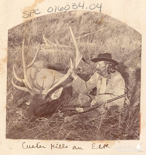 Elk Hunt