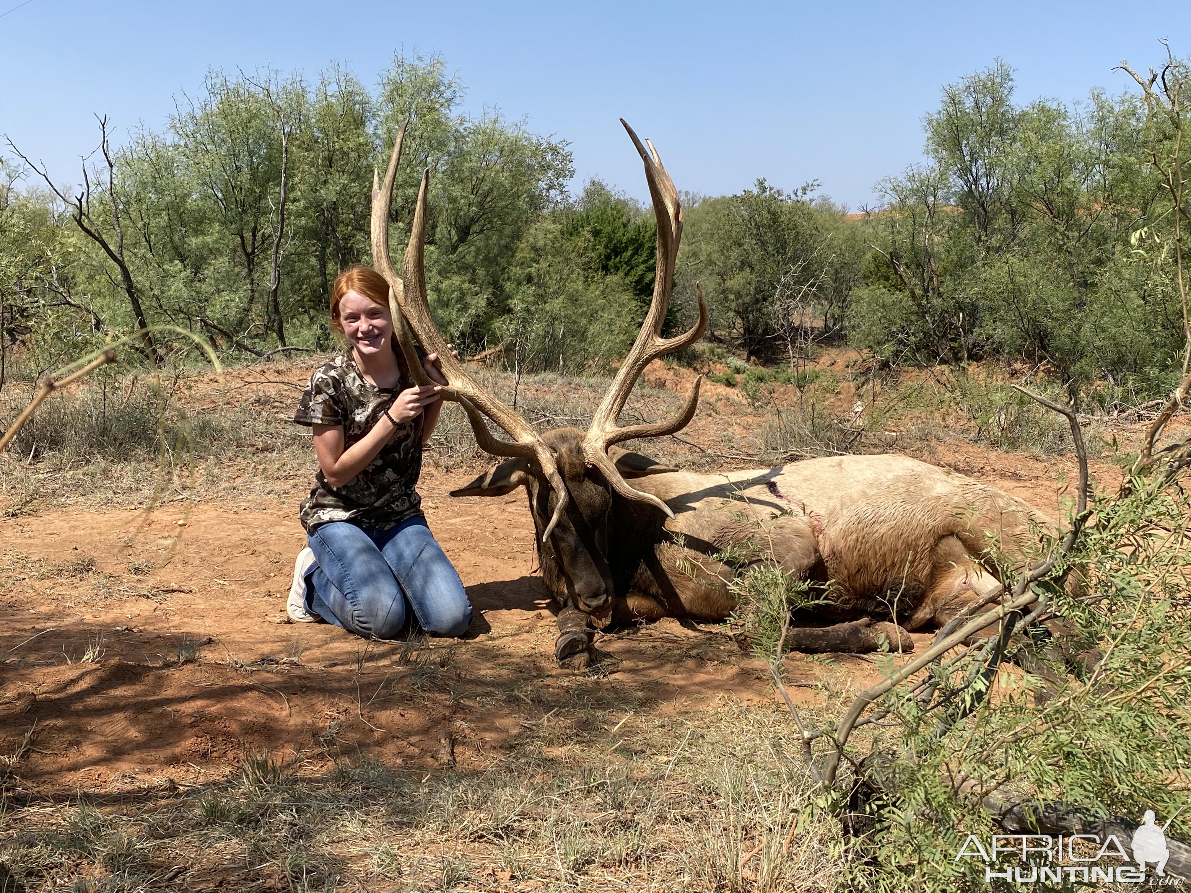 Elk Hunting Texas USA