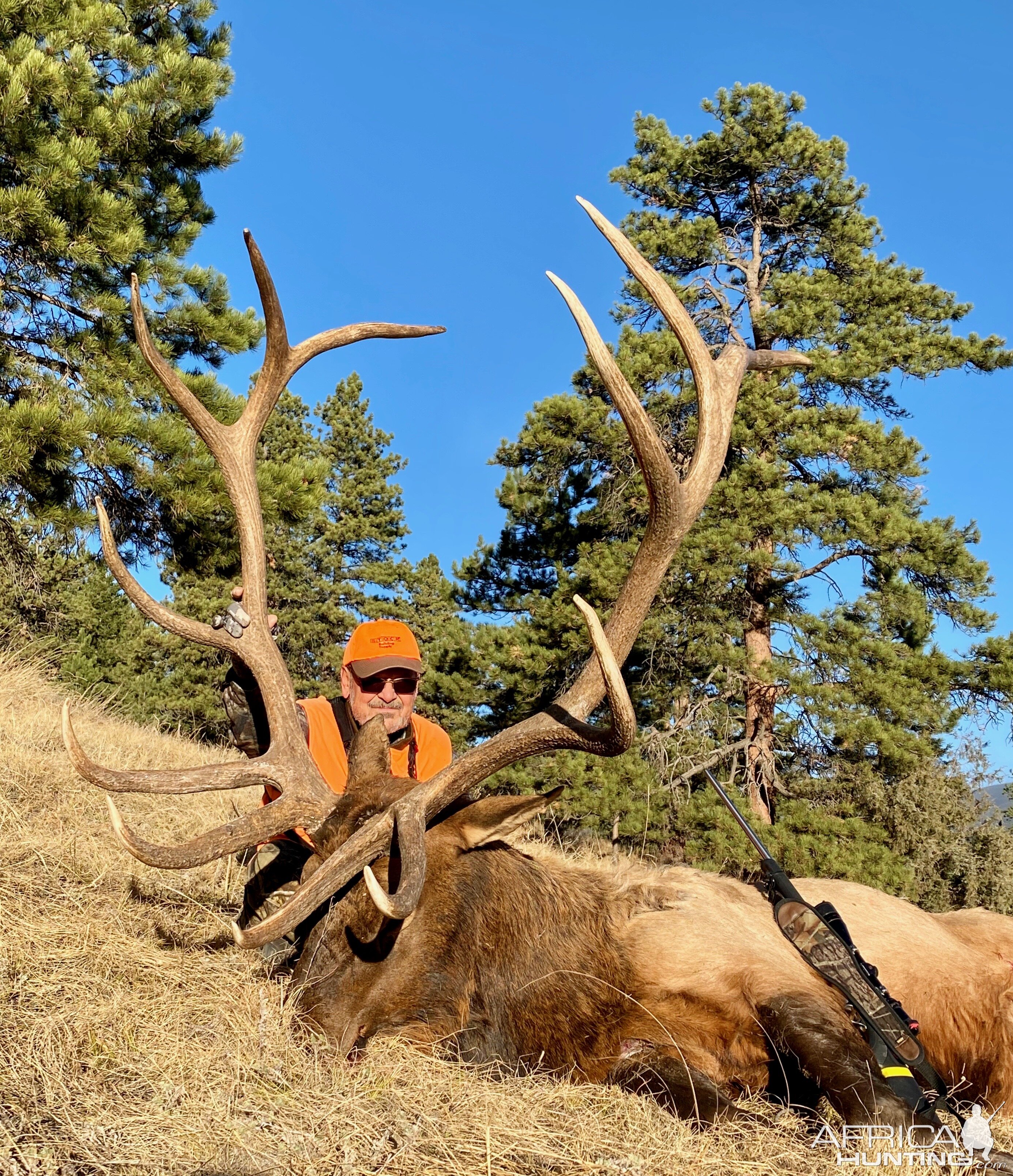 Elk Hunting