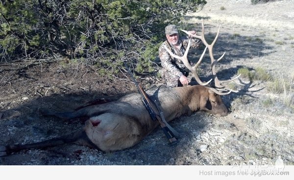 Elk Hunting