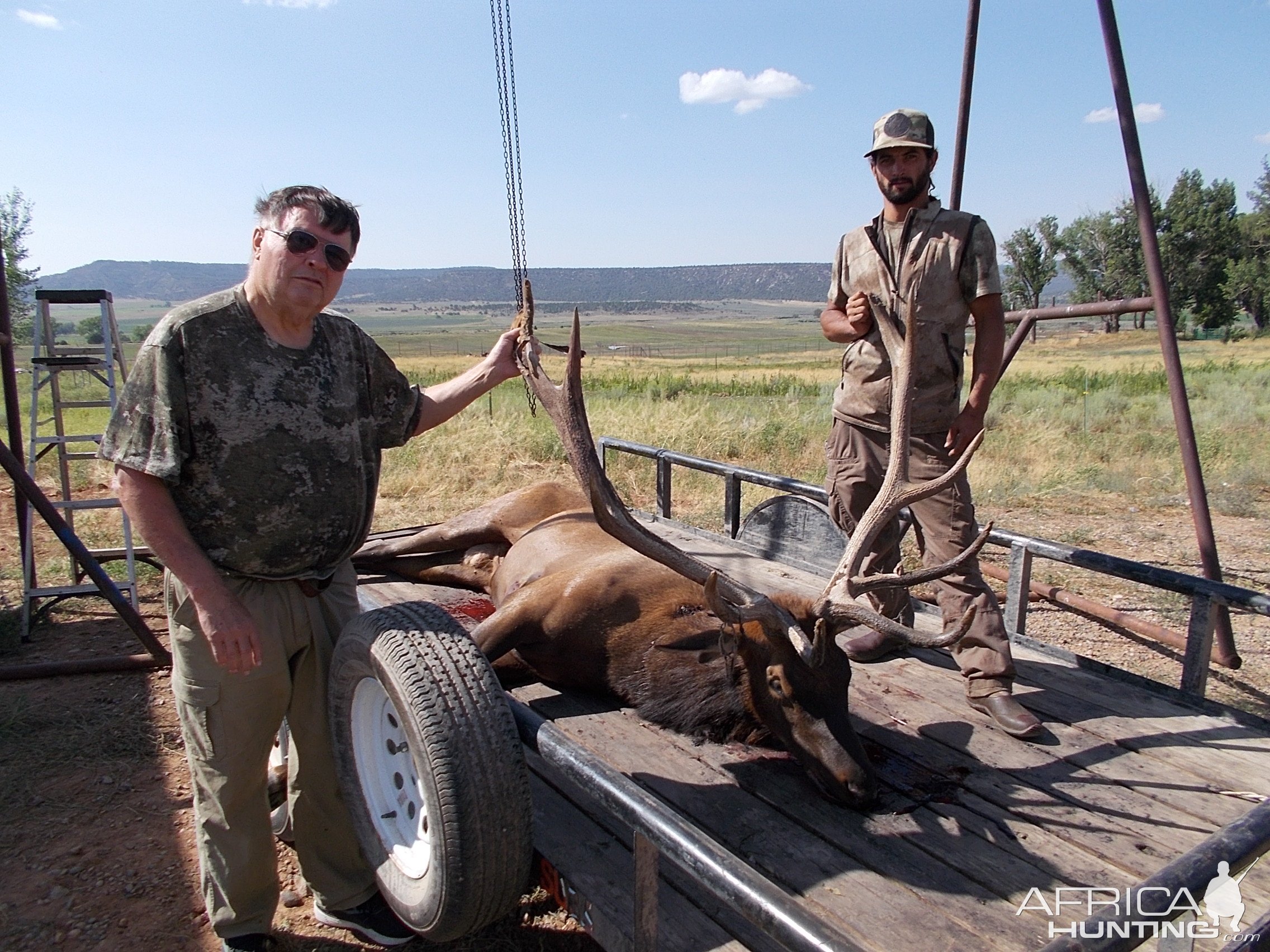 Elk Hunting