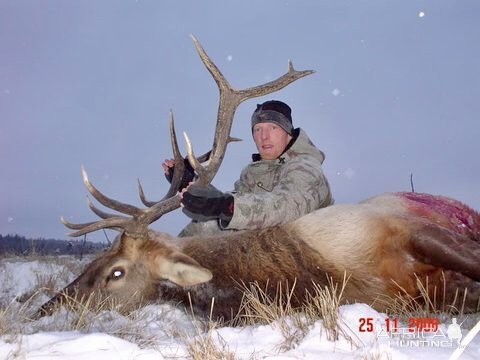 Elk Hunting