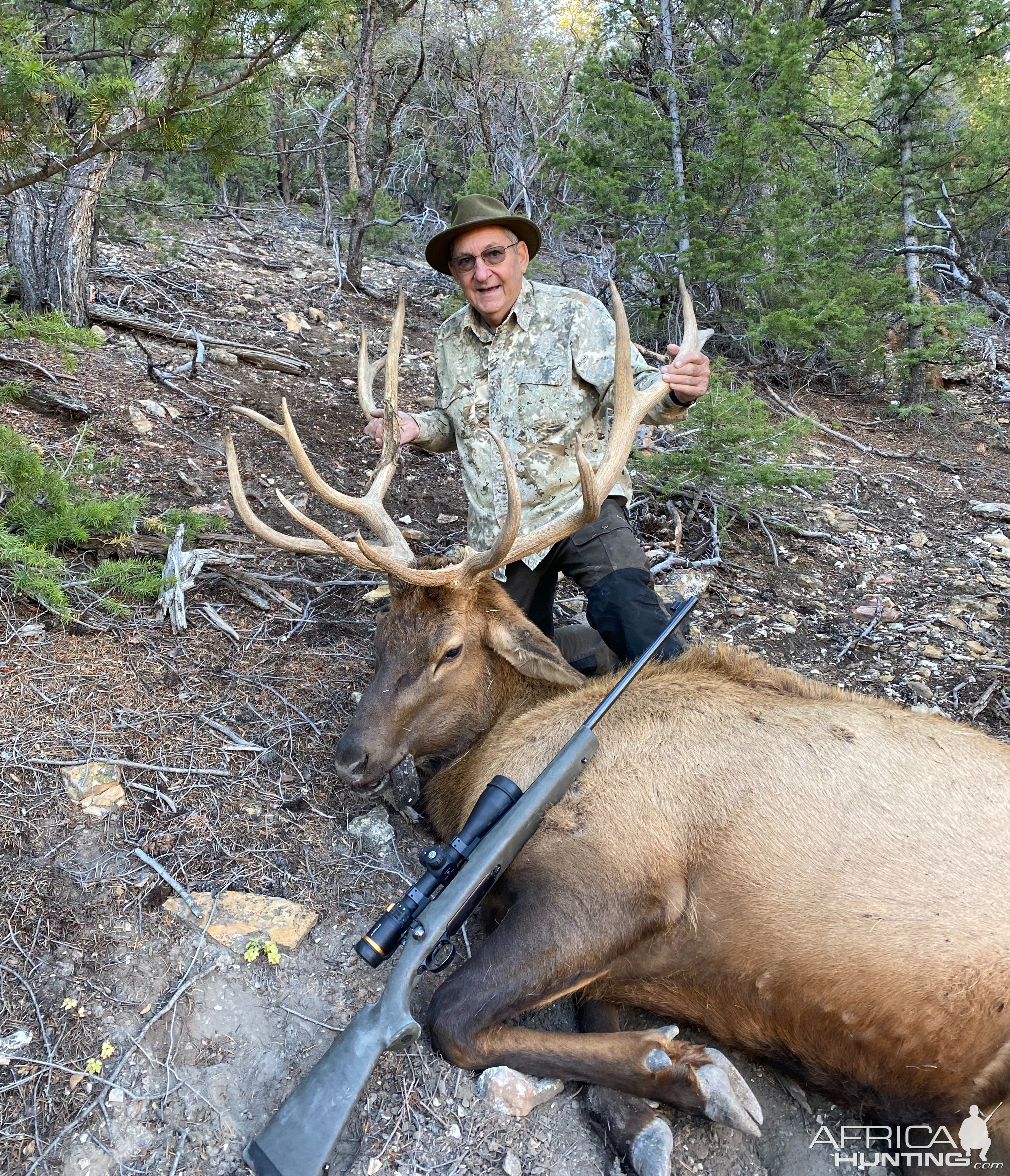 Elk Hunting