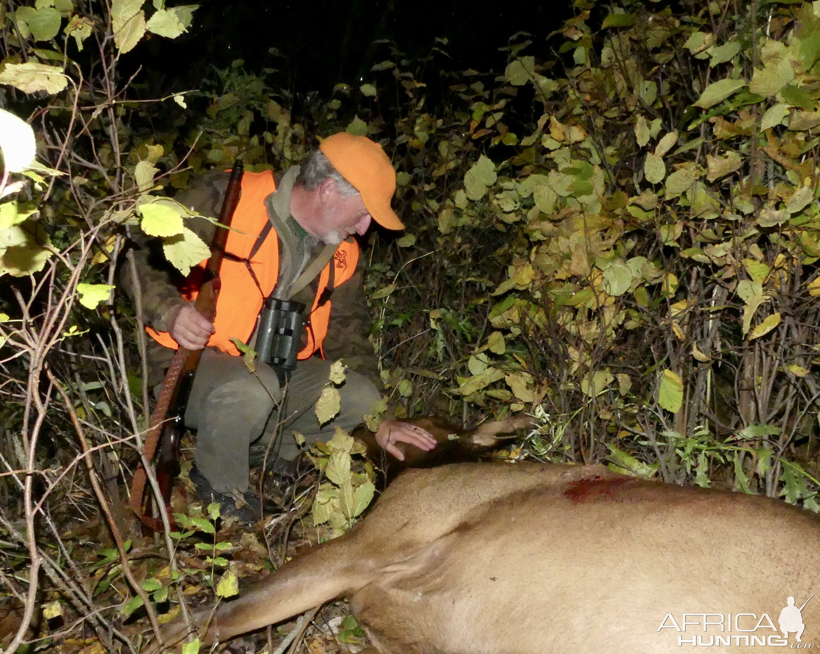 Elk Hunting