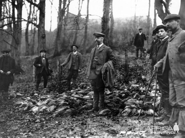 England Hunting Pheasants