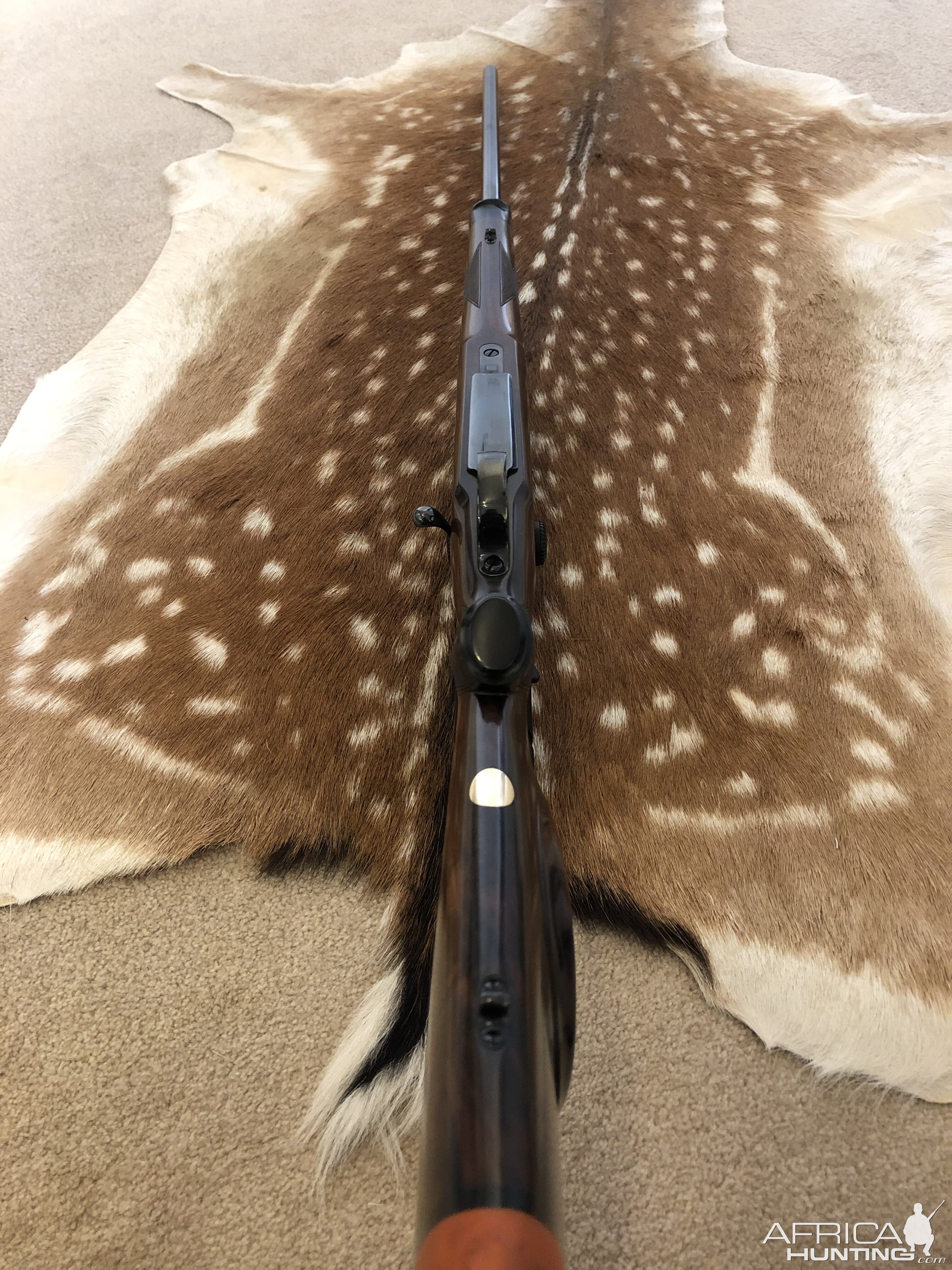 English .375 H&H Mauser Action Rifle