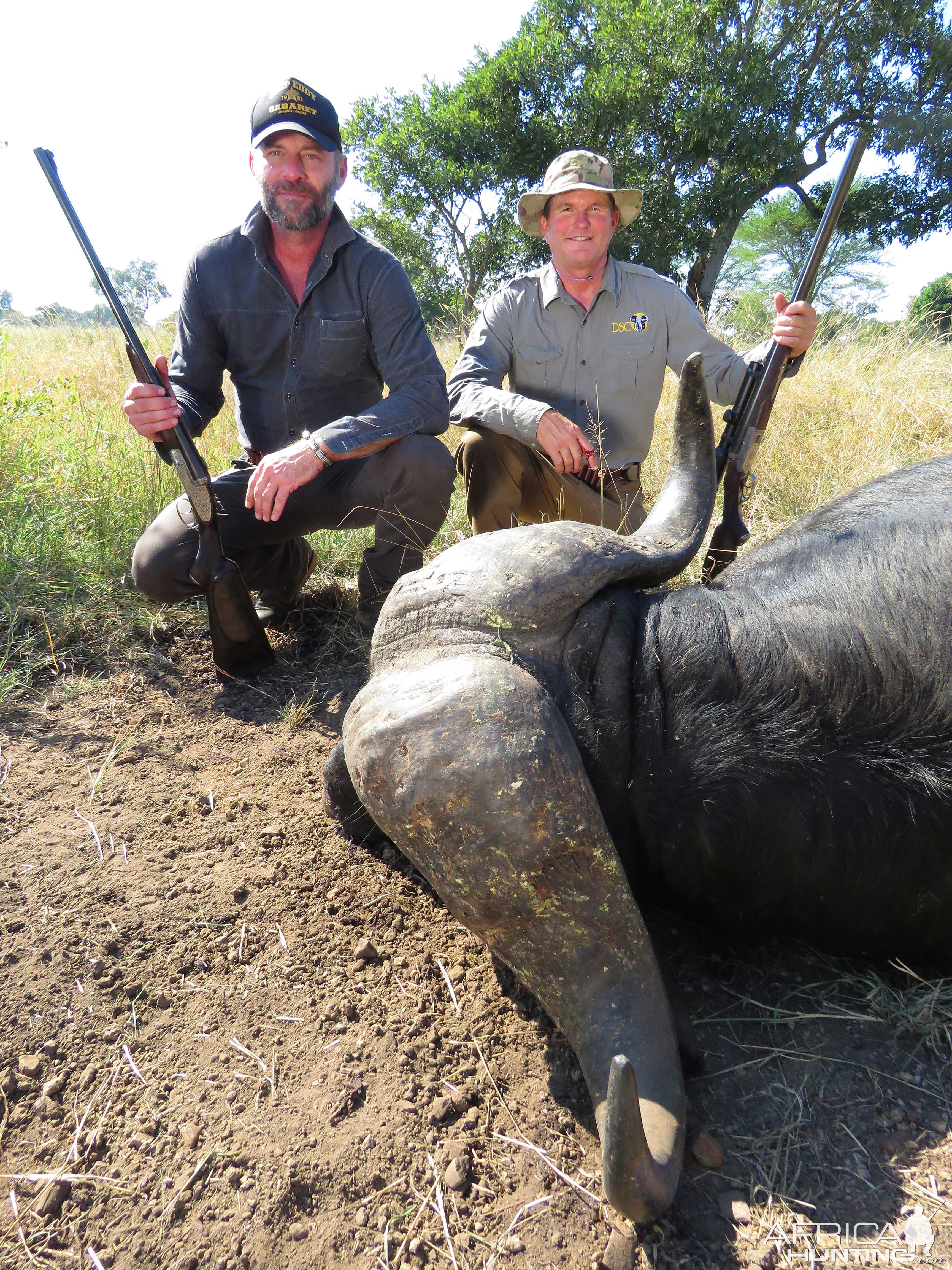 Epic buffalo safari