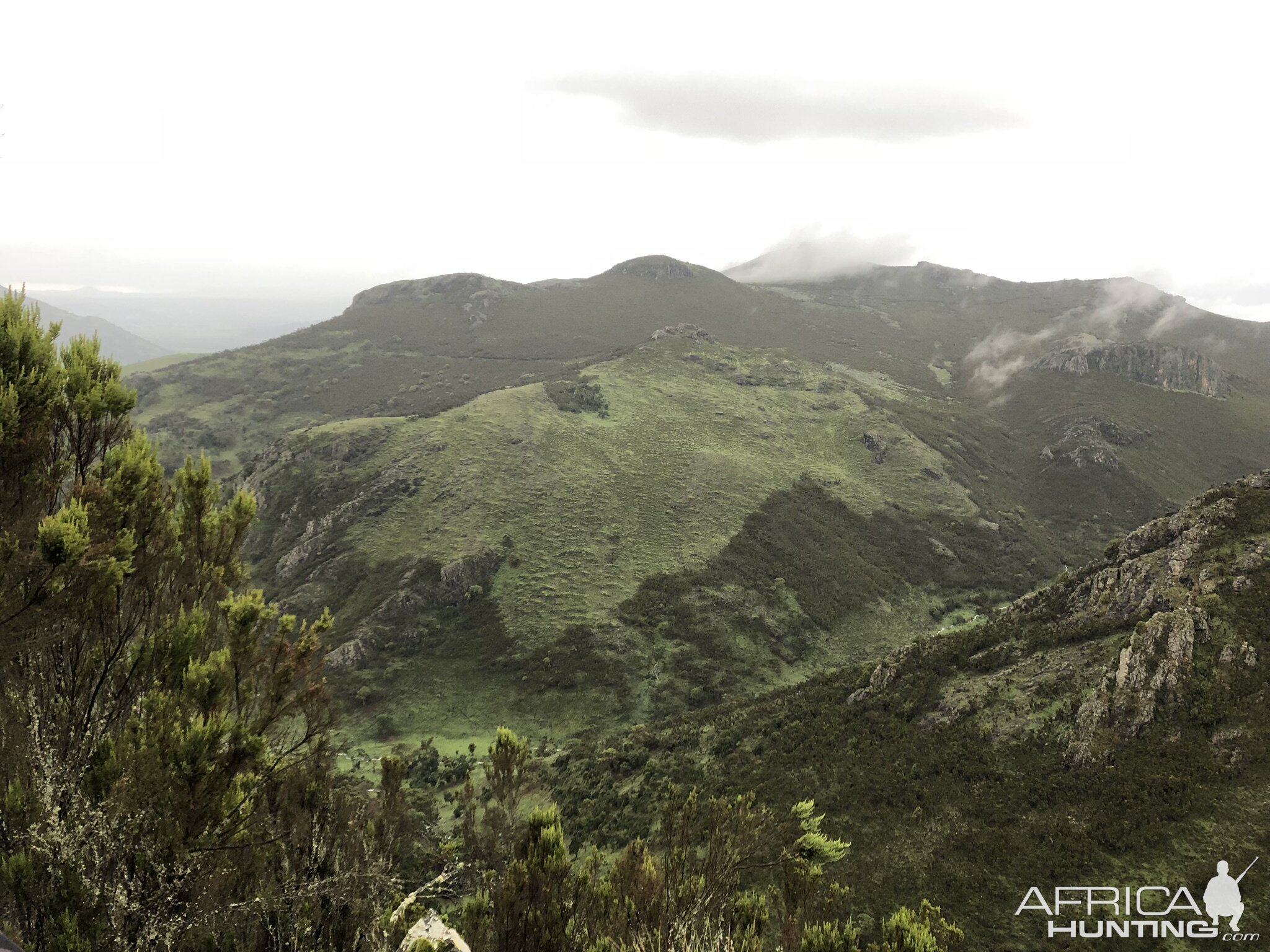 Ethiopia Hunt