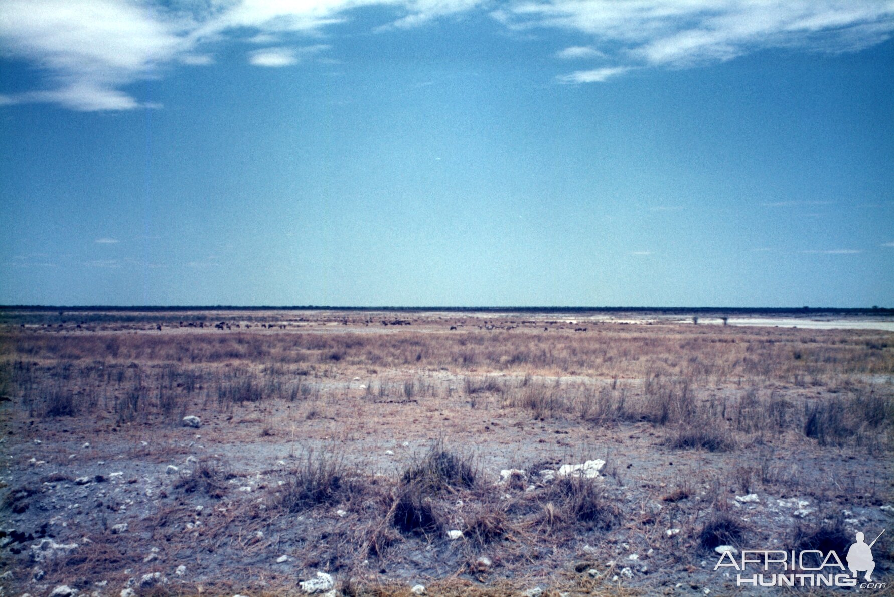 Etosha National Park in Namibia