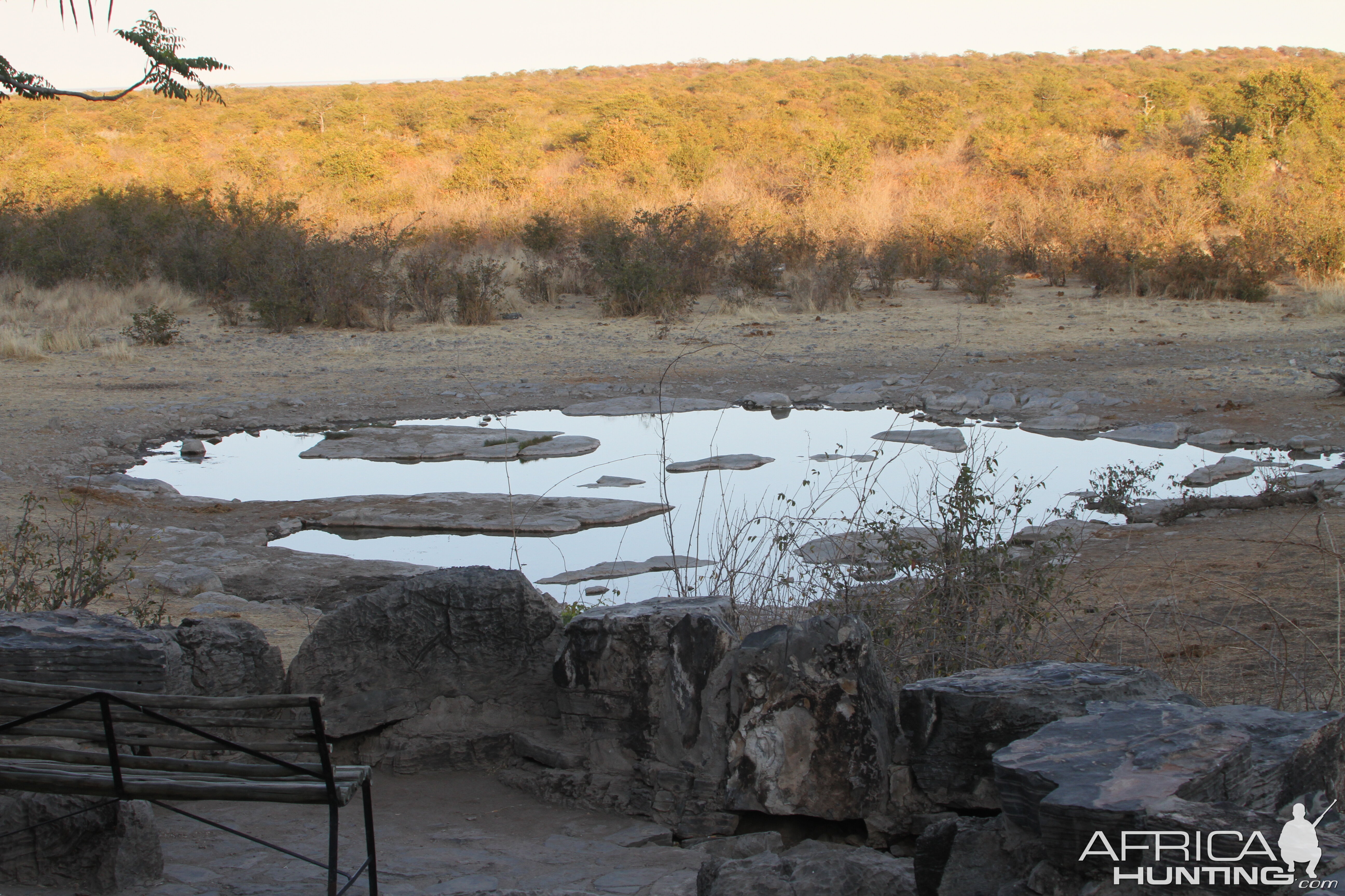 Etosha National Park