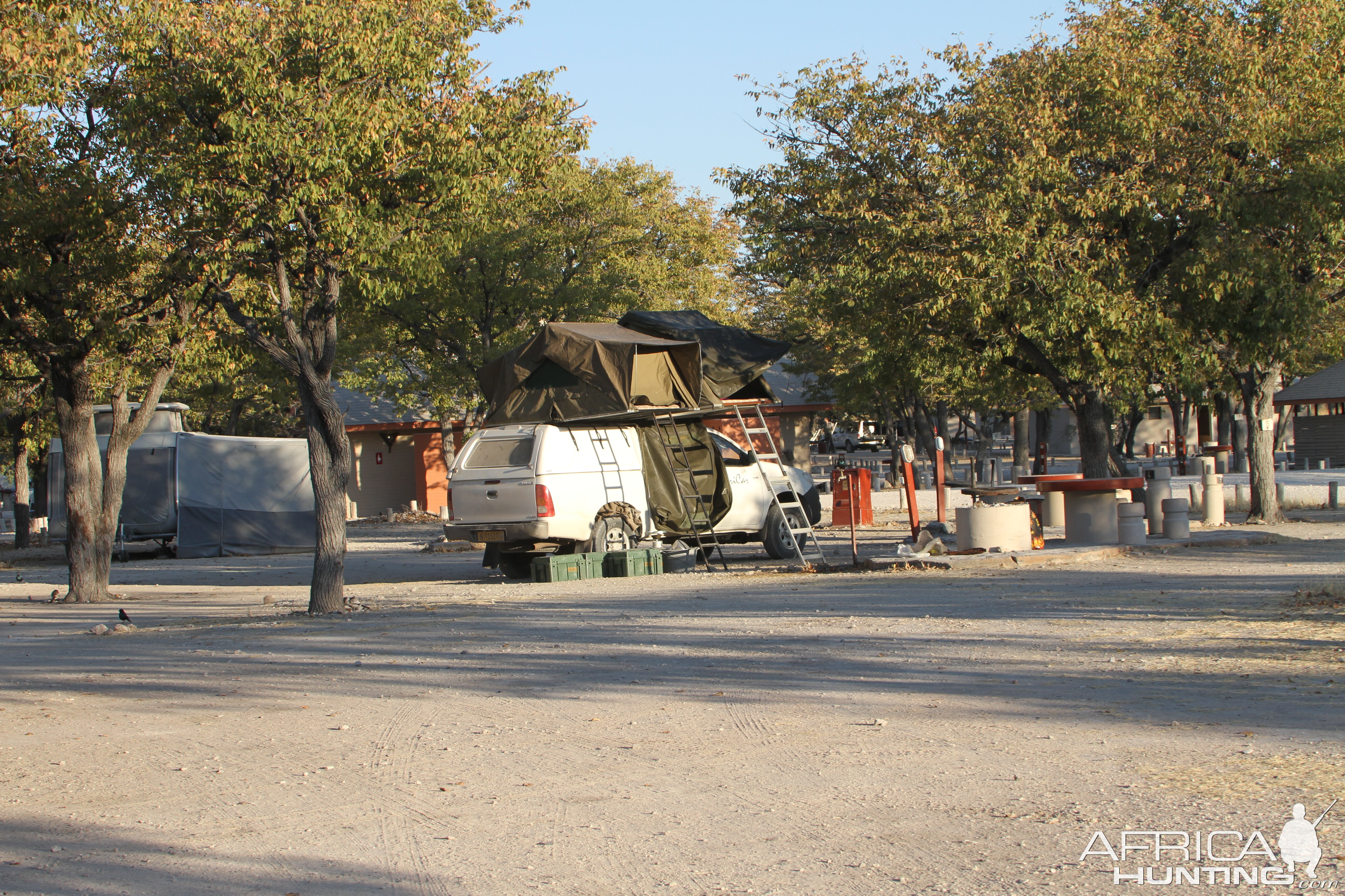 Etosha National Park