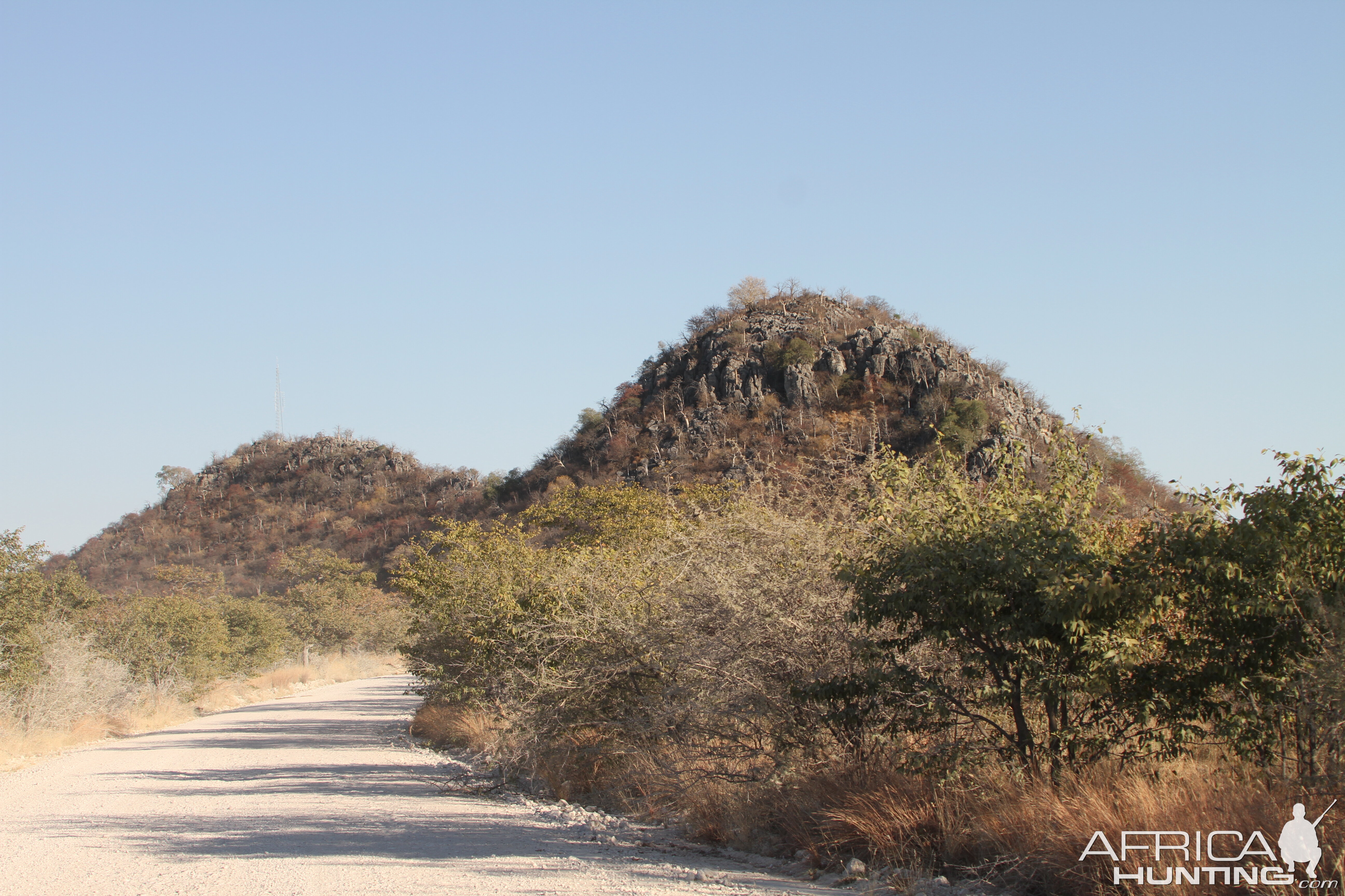 Etosha National Park