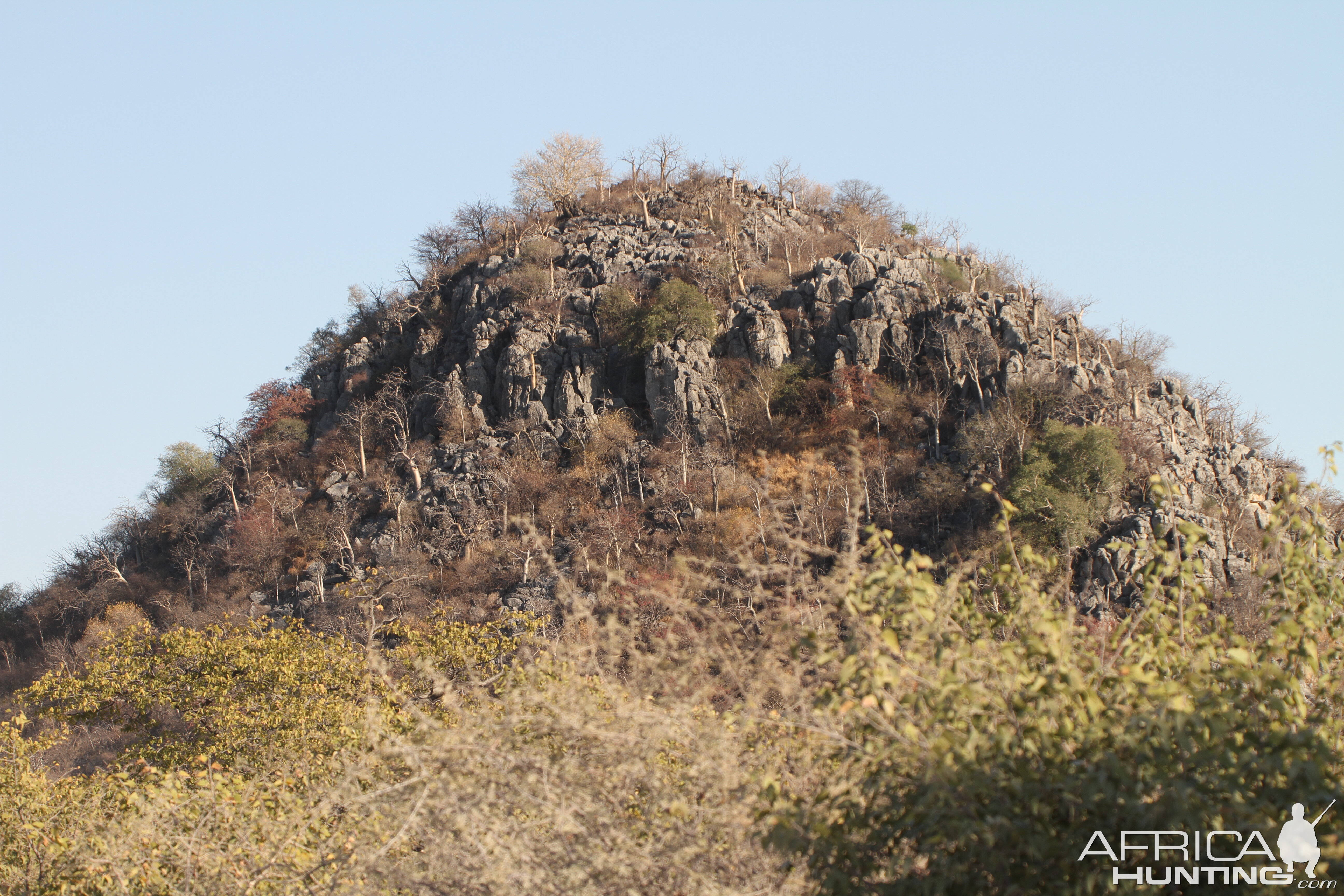 Etosha National Park