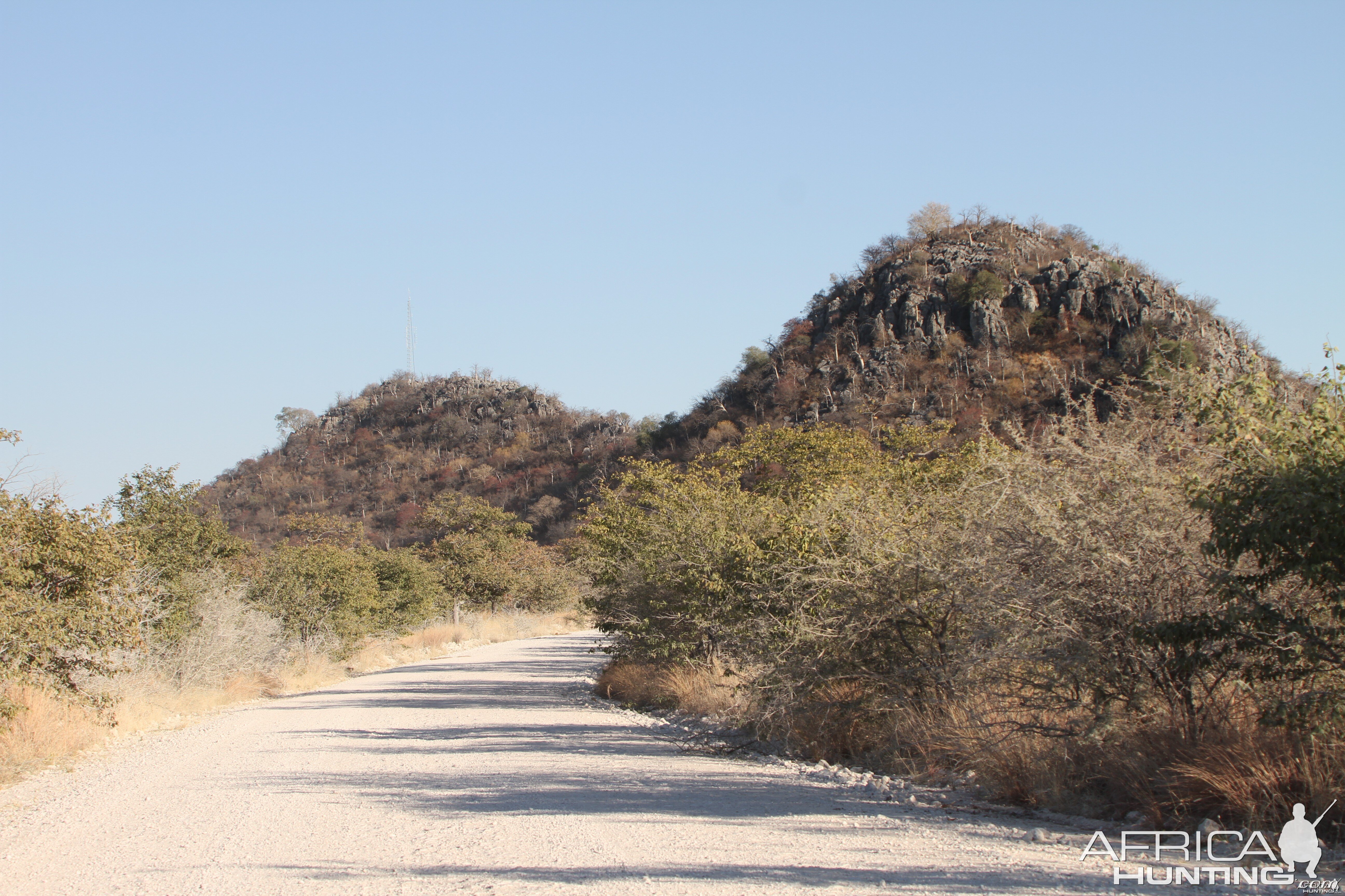 Etosha National Park