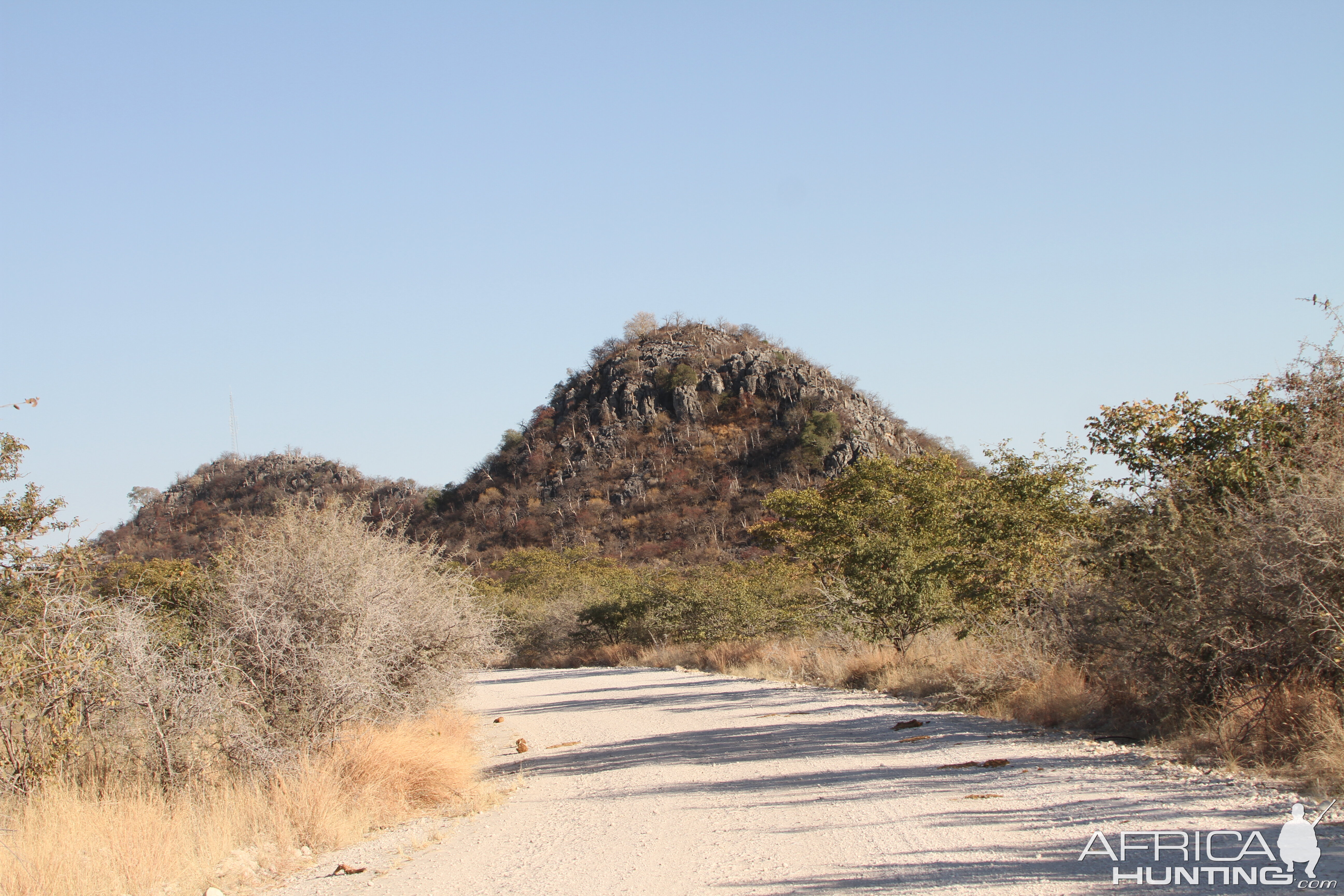 Etosha National Park