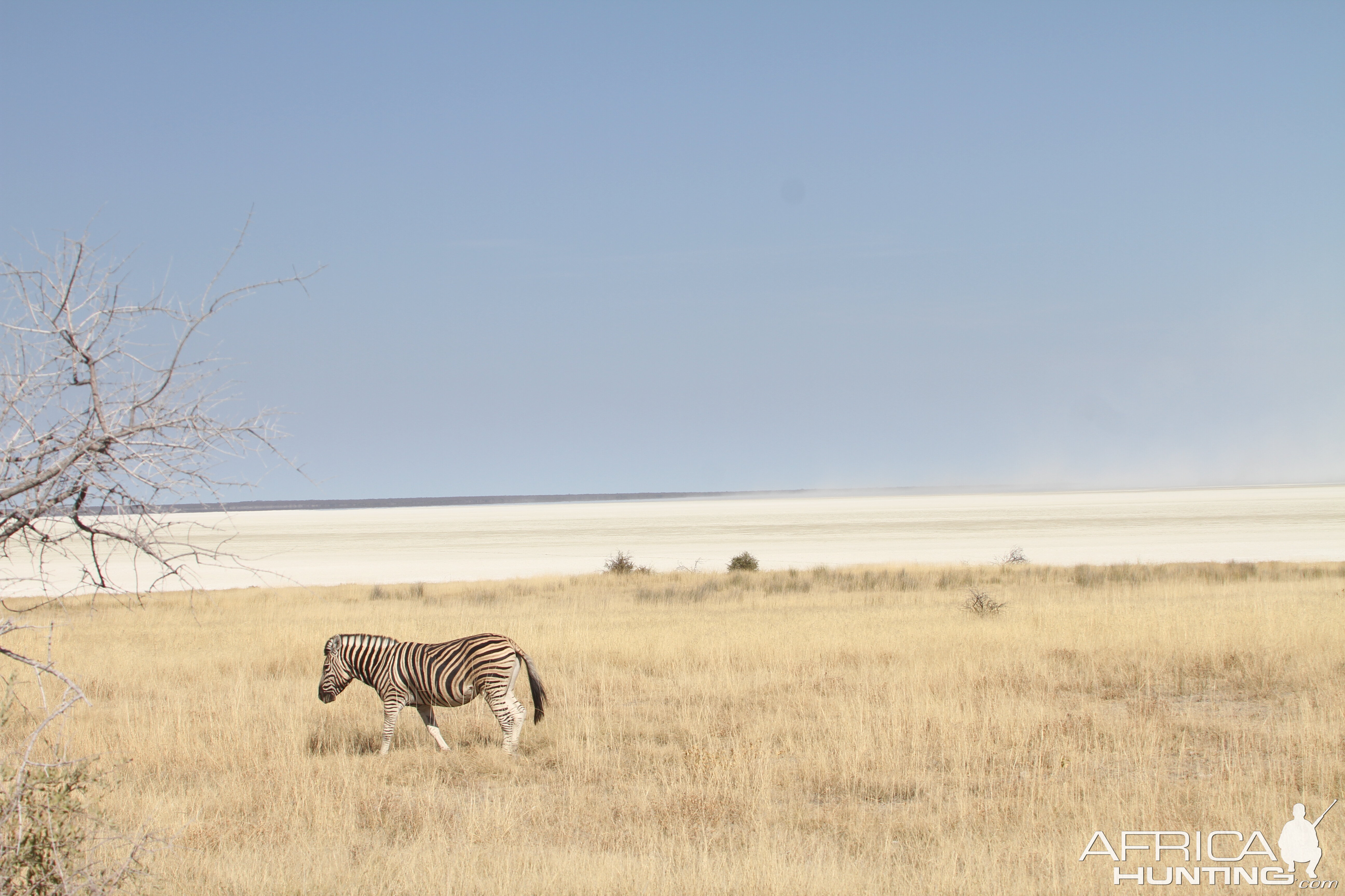 Etosha National Park