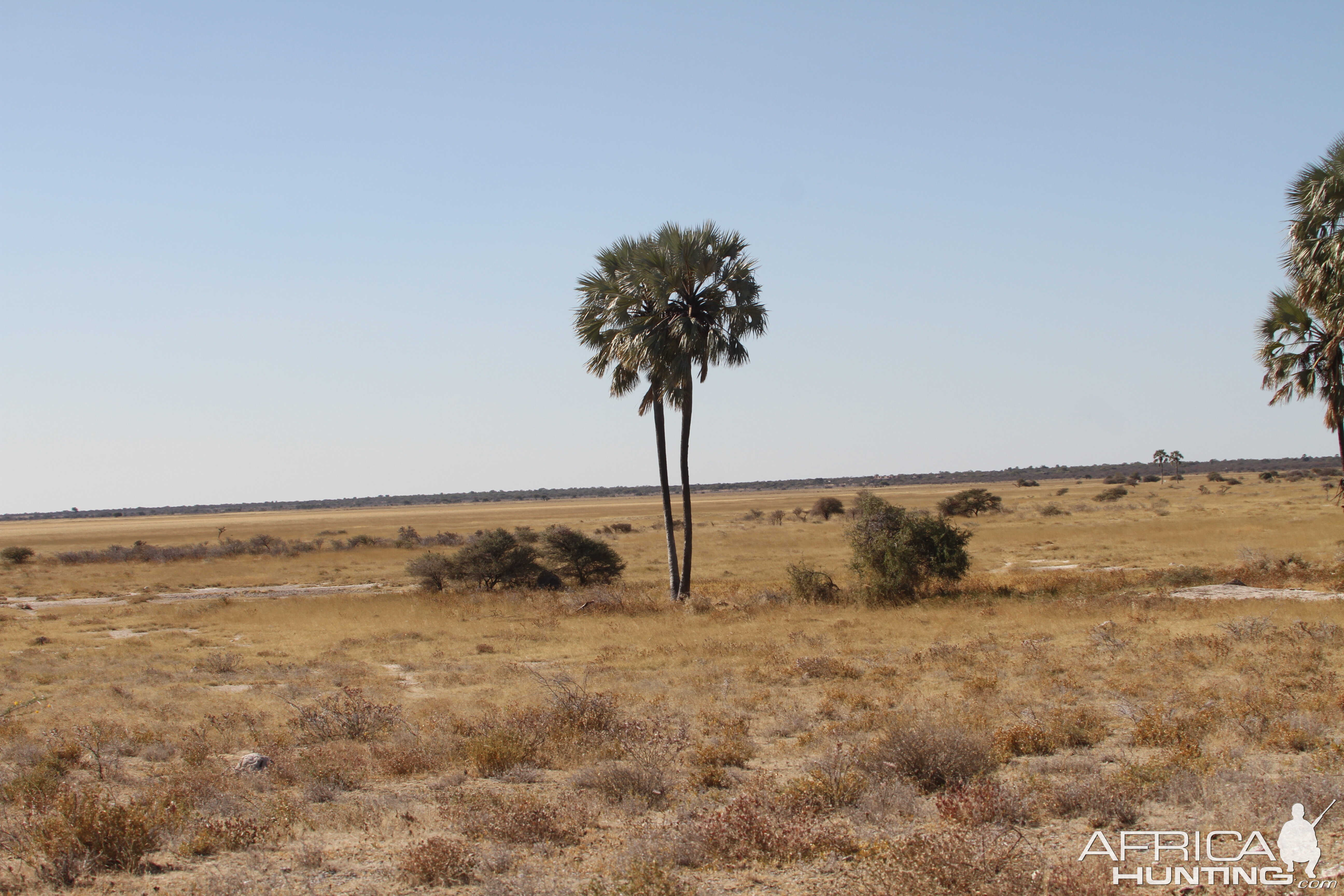 Etosha National Park