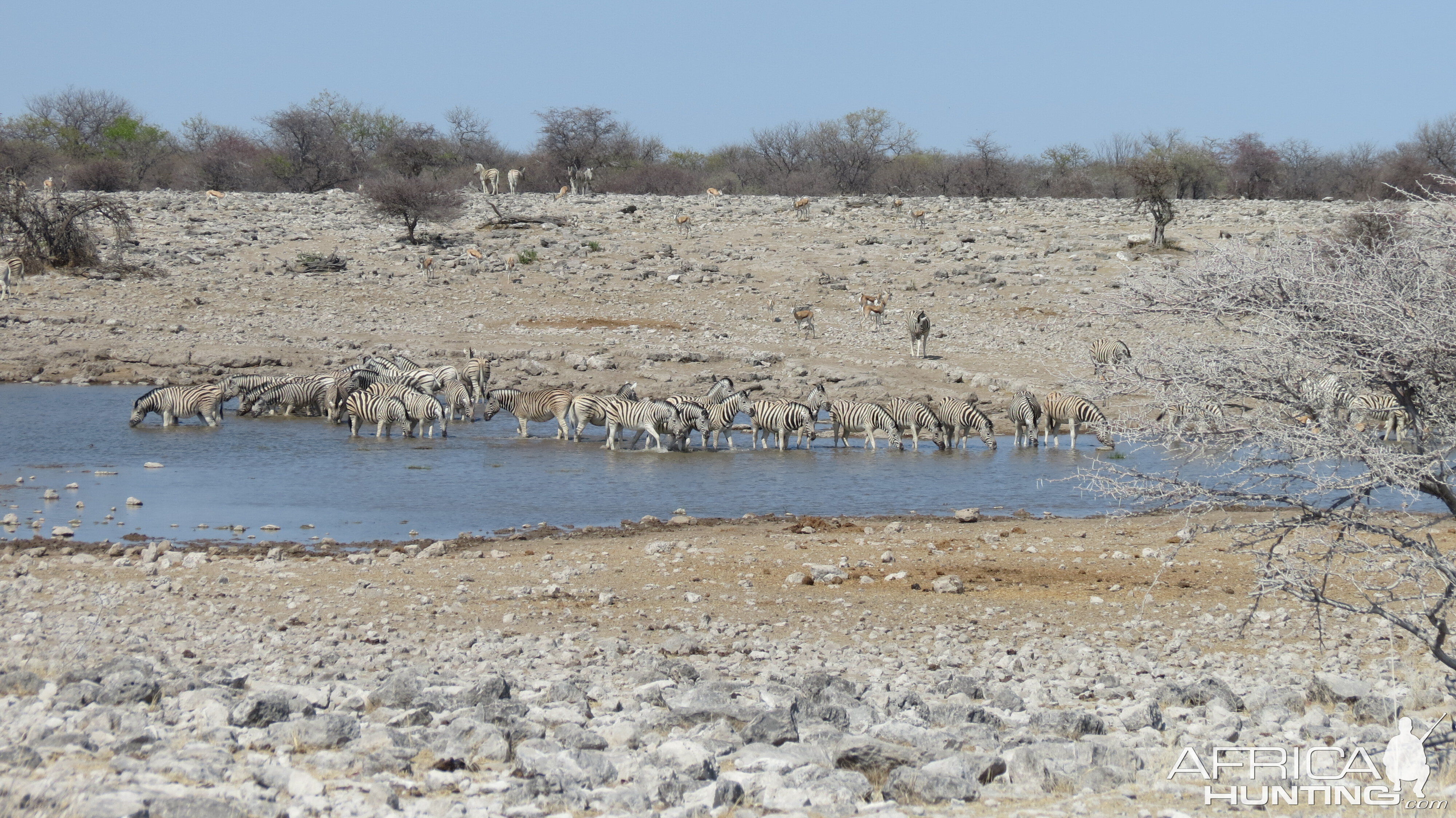 Etosha National Park