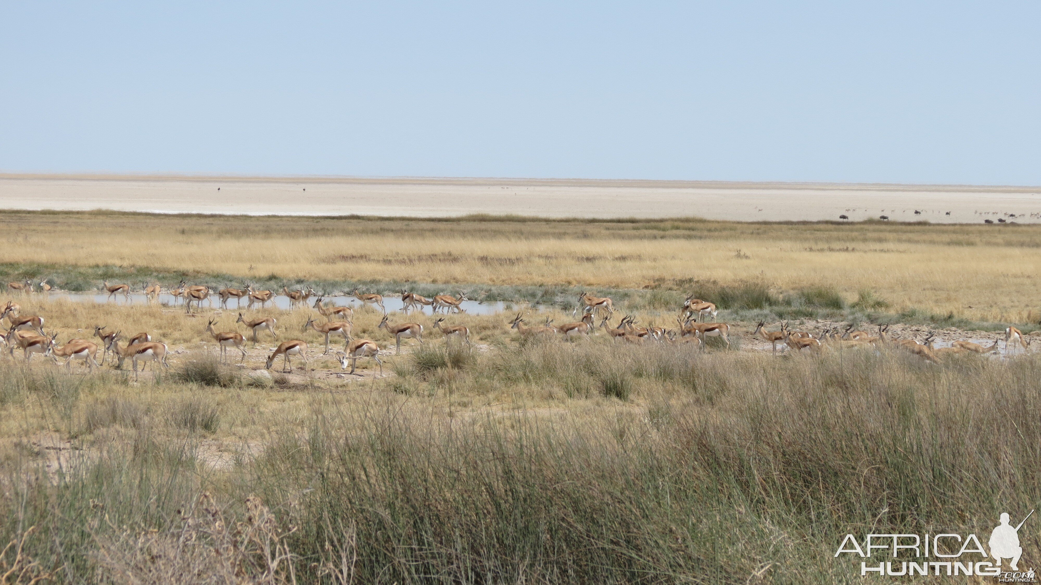 Etosha National Park