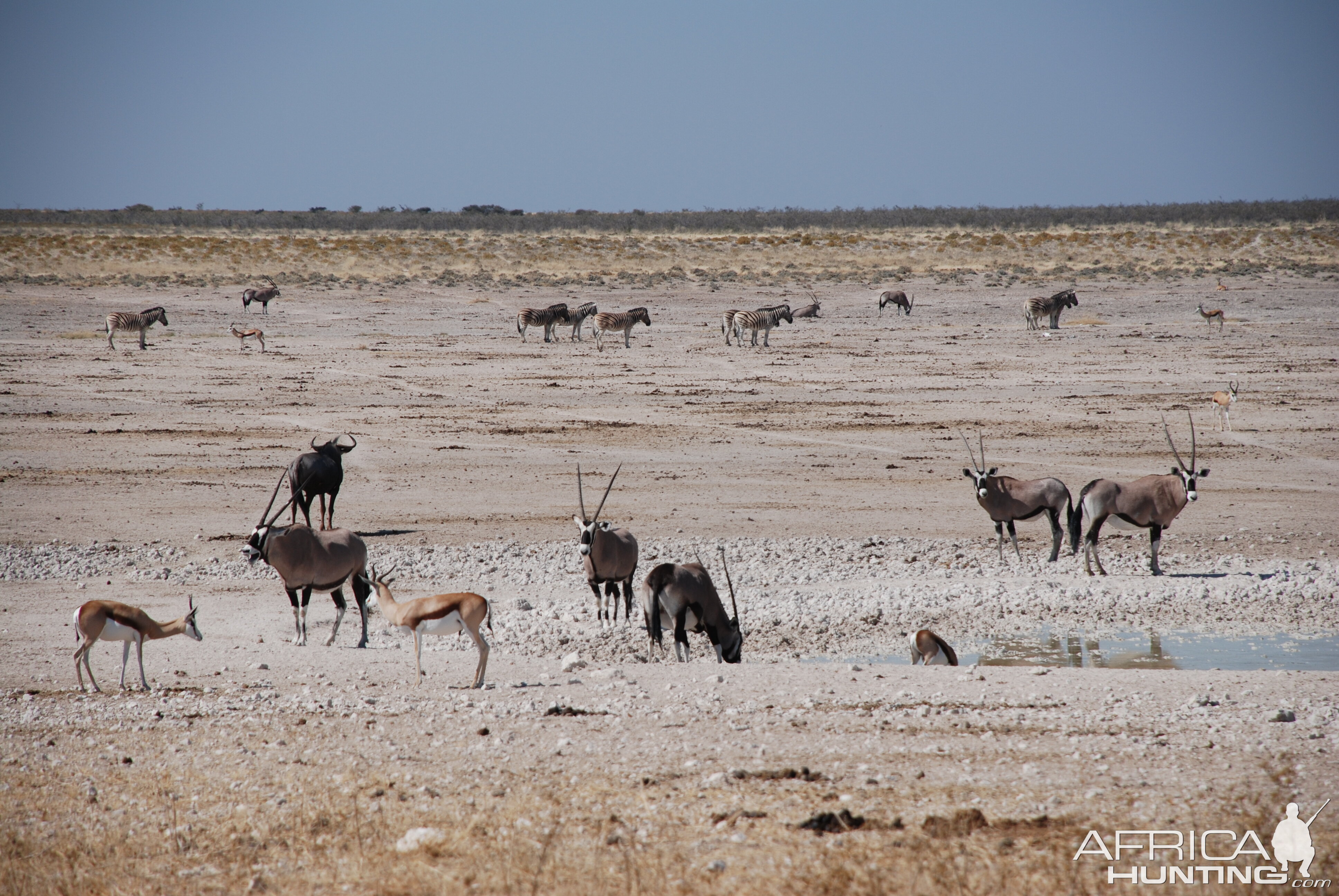 Etosha Pan