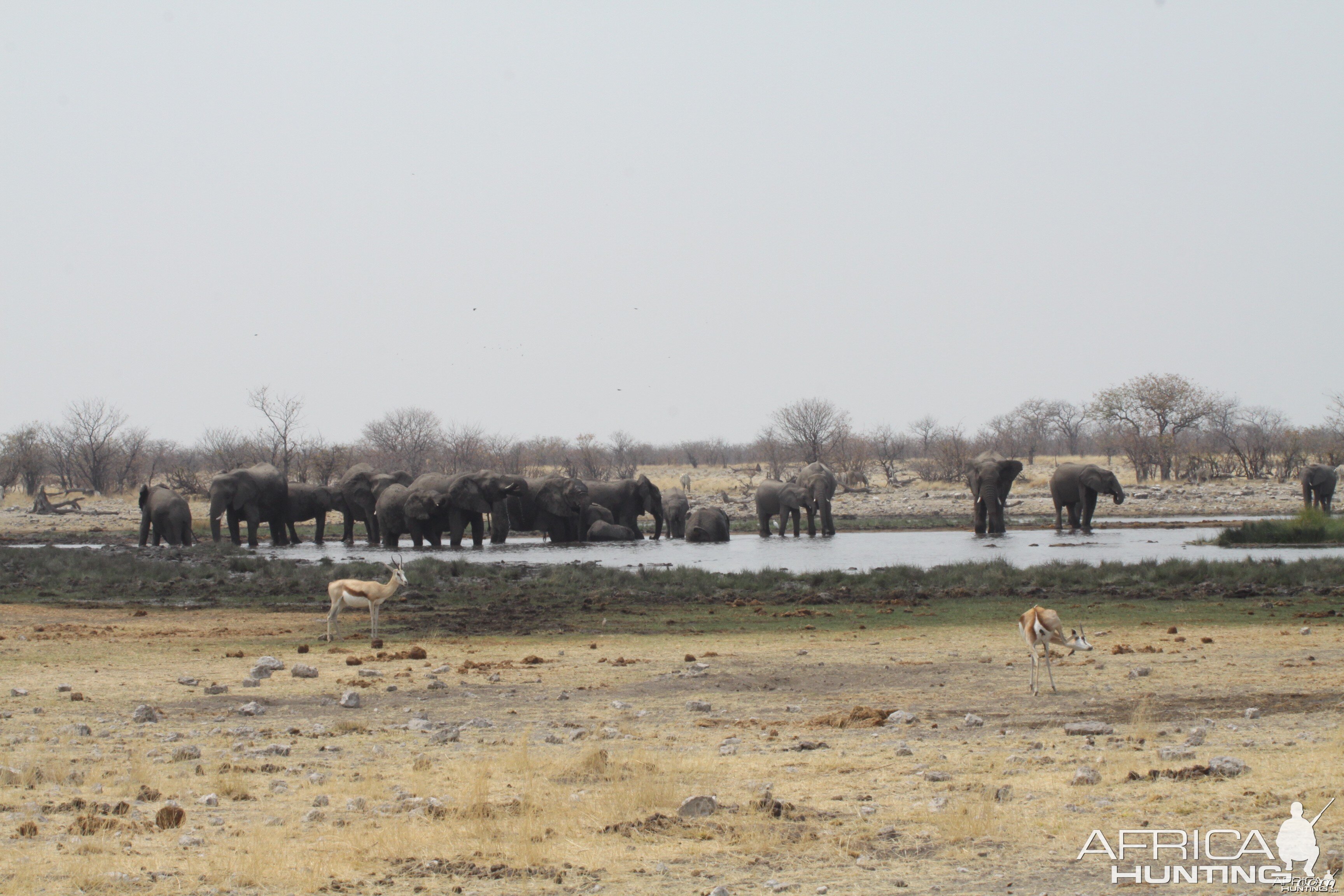 Etosha