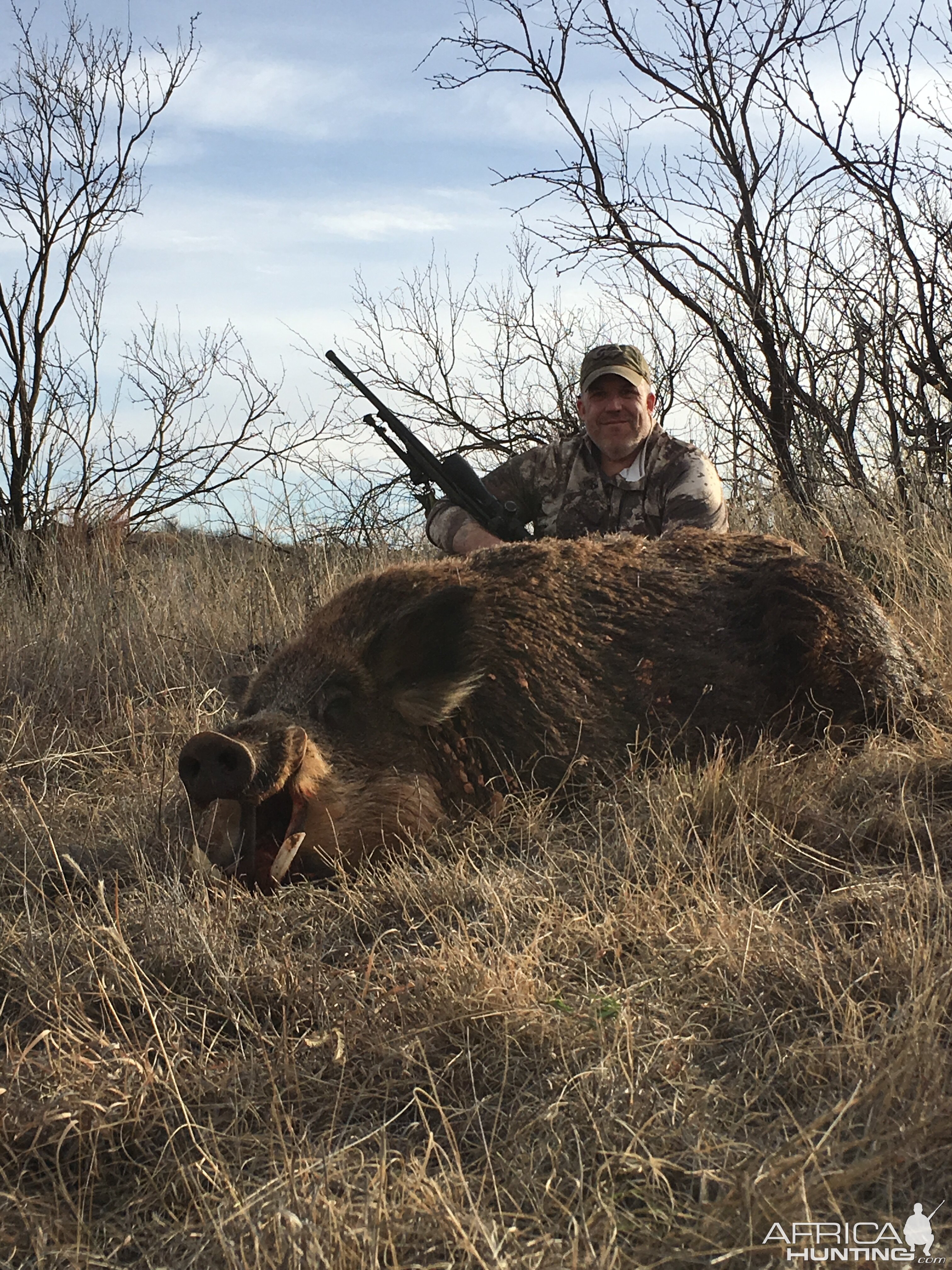 Eurasian Boar Hunt Texas USA