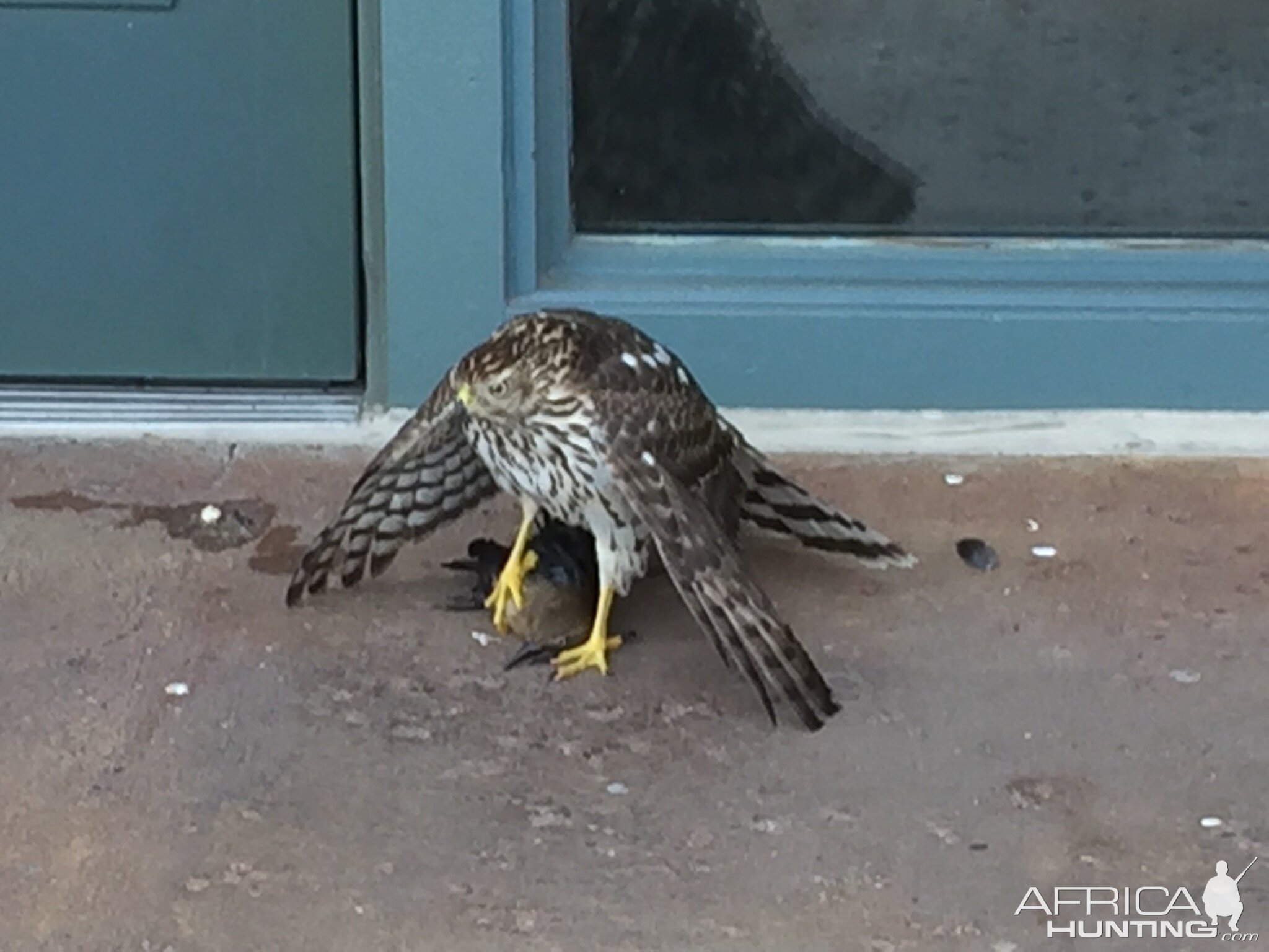 Everyone needs lunch!