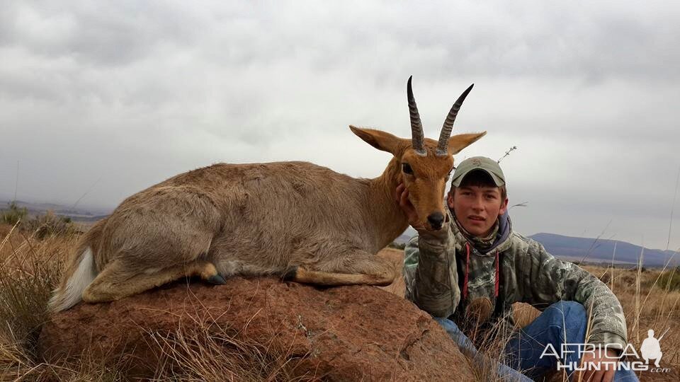 Excellent chance to hunt rowland Ward quality Mountain Reedbuck.