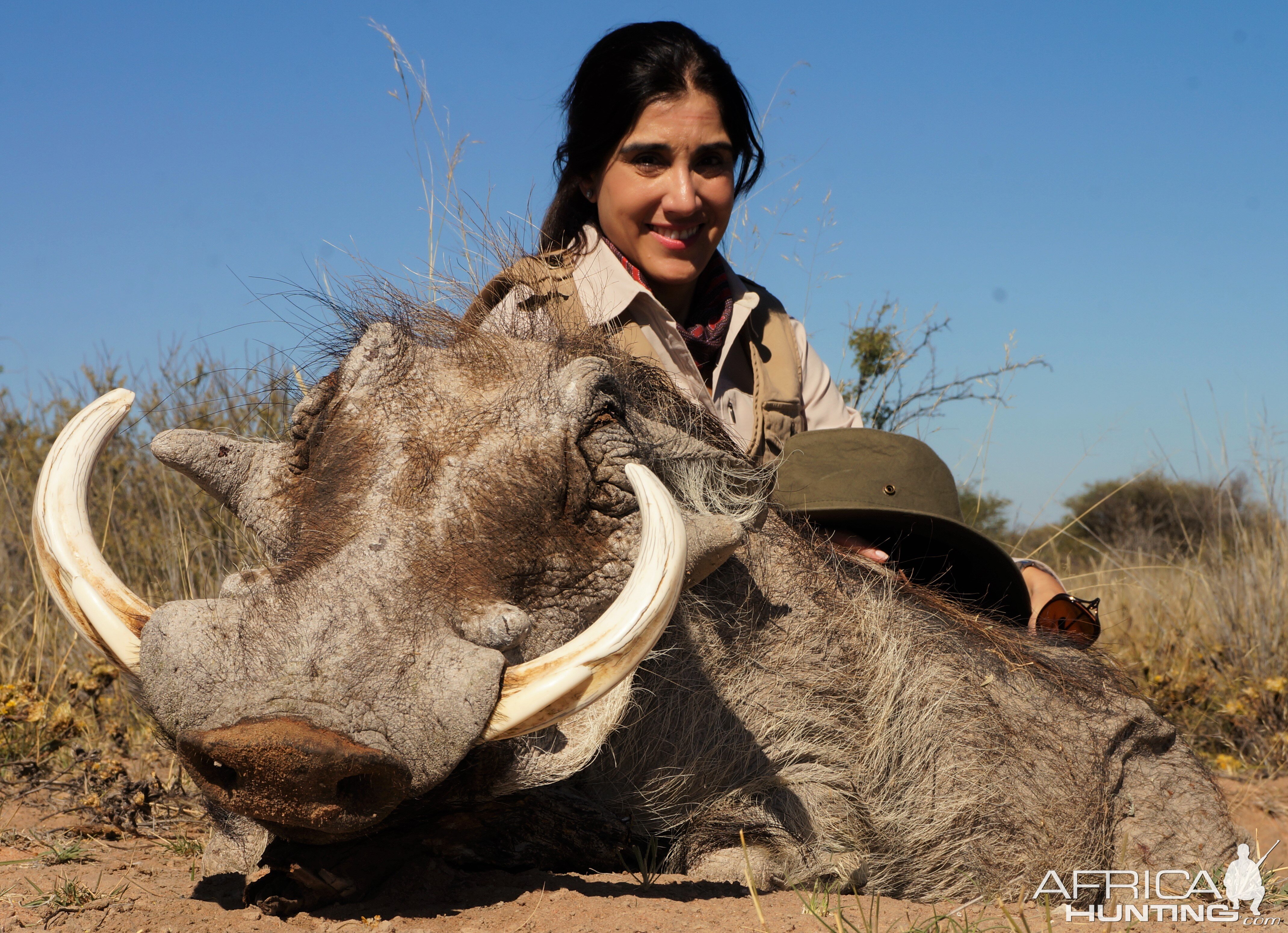 Excellent Warthog - Namibia